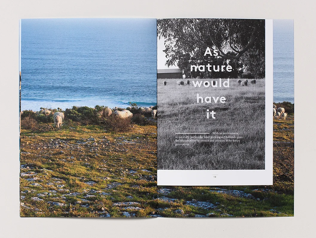 FreshEyre_brochure_04.jpg