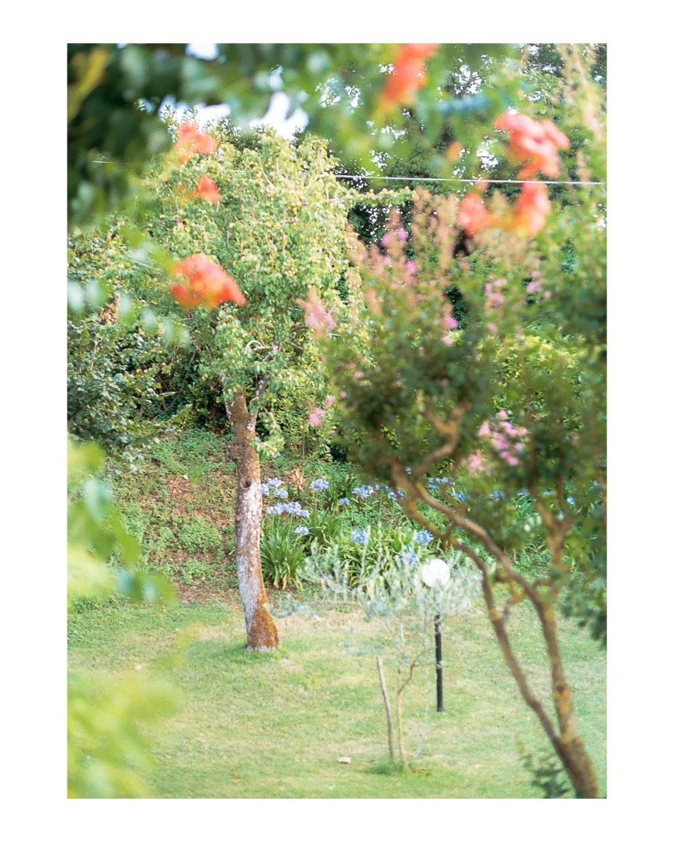 Sorrento_border_edits for IG-008.jpg