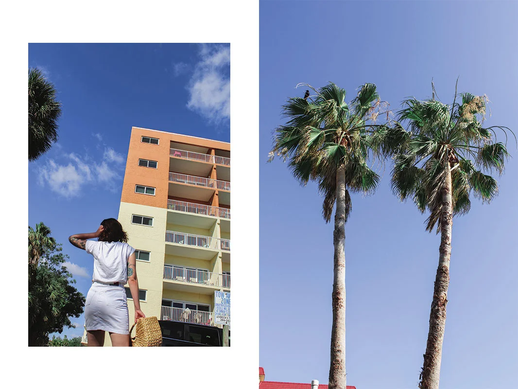 palms.jpg