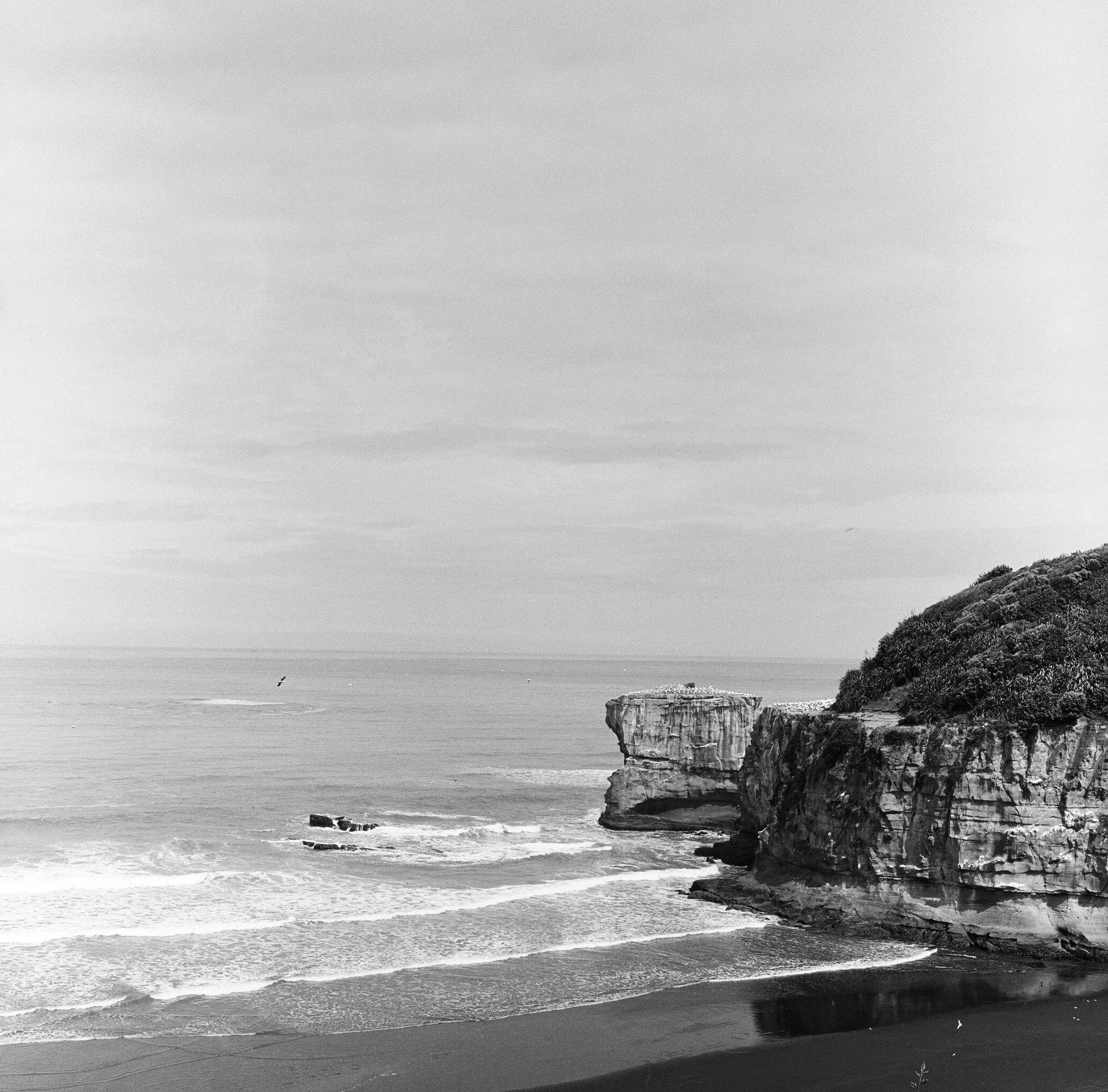 New Zealand - Film Photography