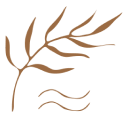 icon-leaf.png
