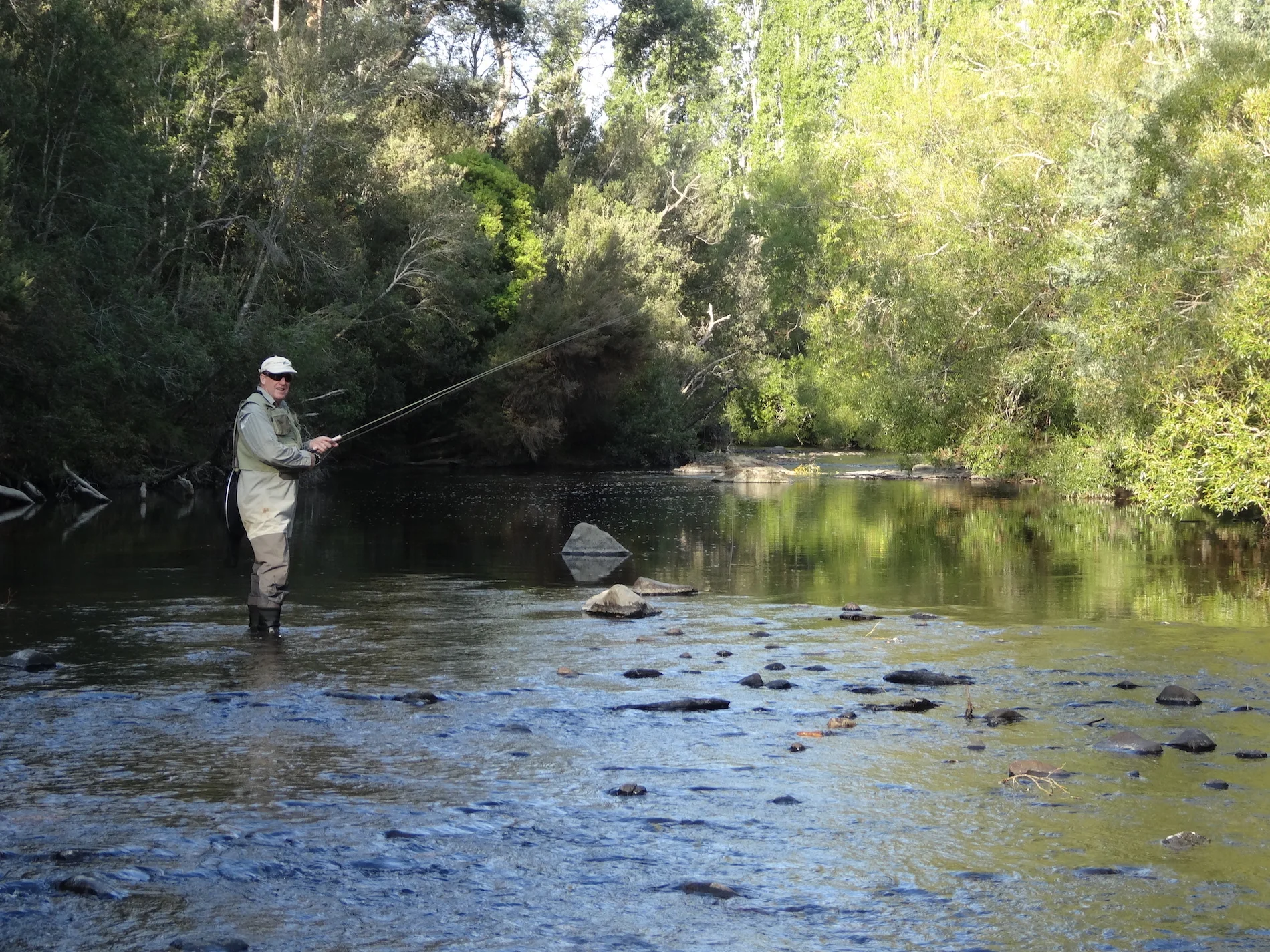 Trout Tasmania.JPG