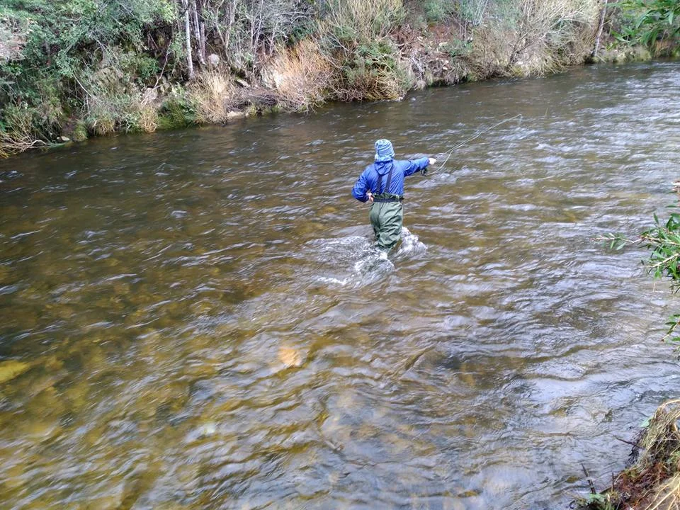St Patrick's trout fishing