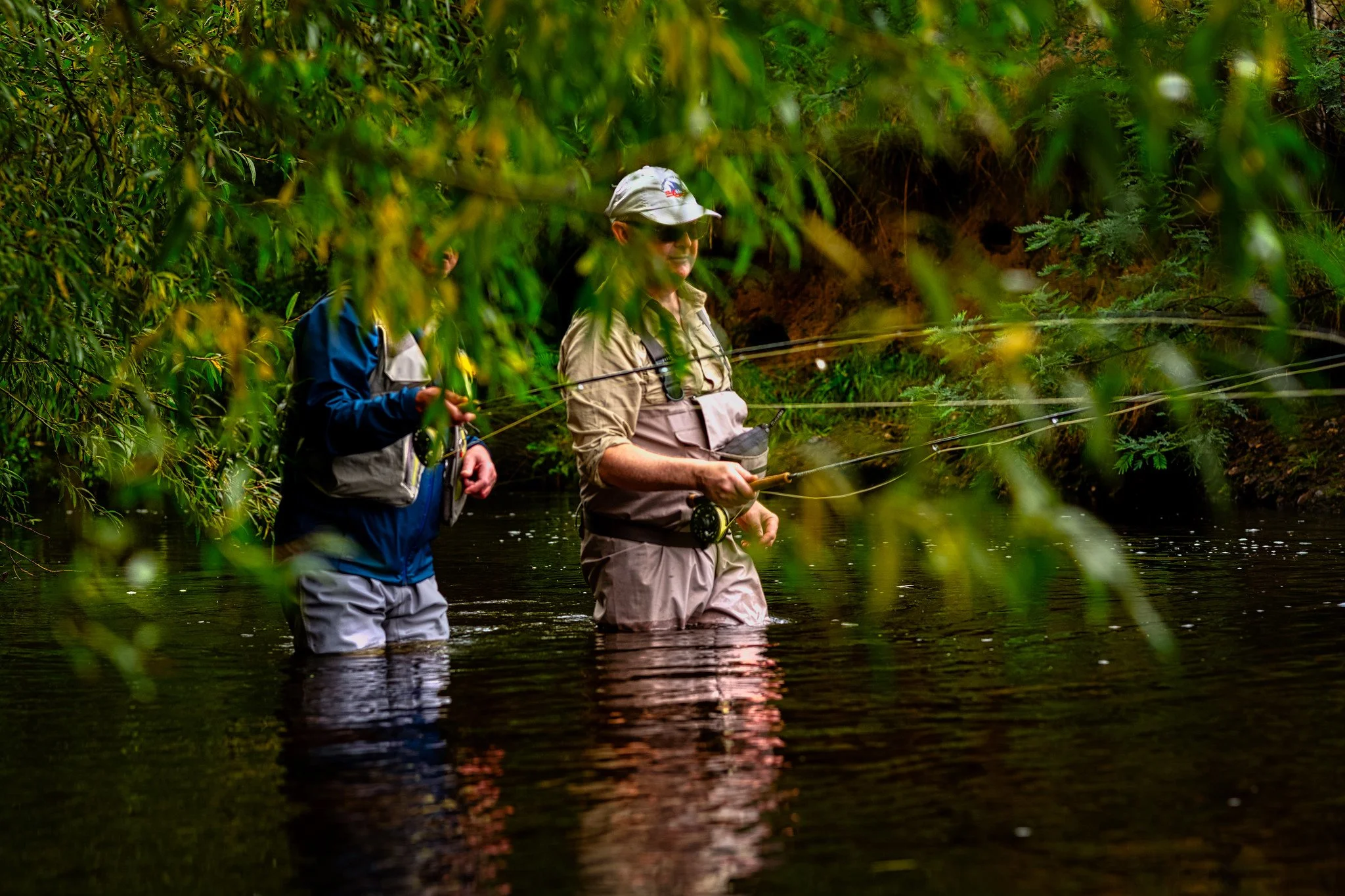 51952414714_c498018afe_k.jpg
