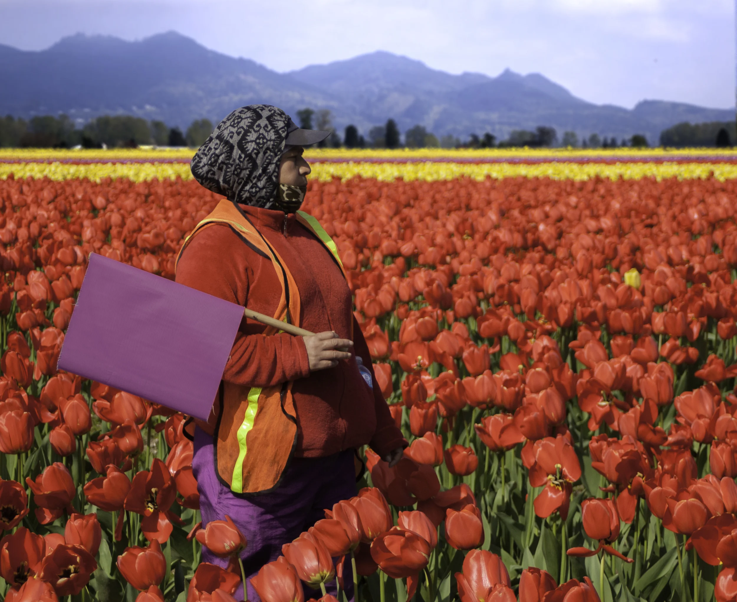 TulipWorker.jpg