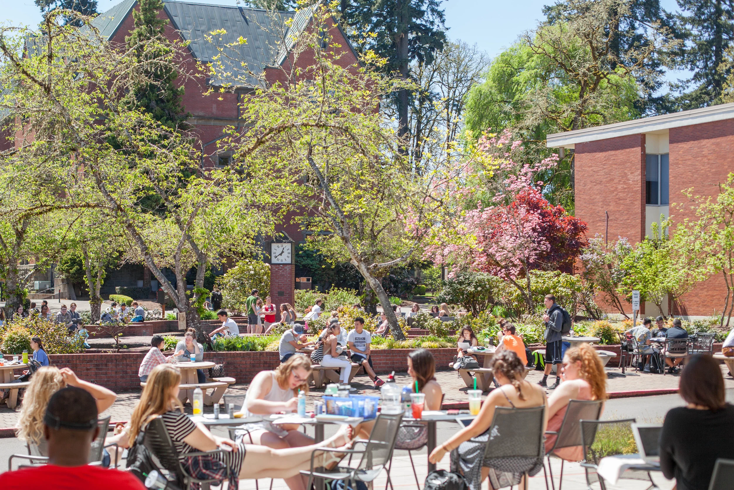 170503_Campus-6_AF.jpg