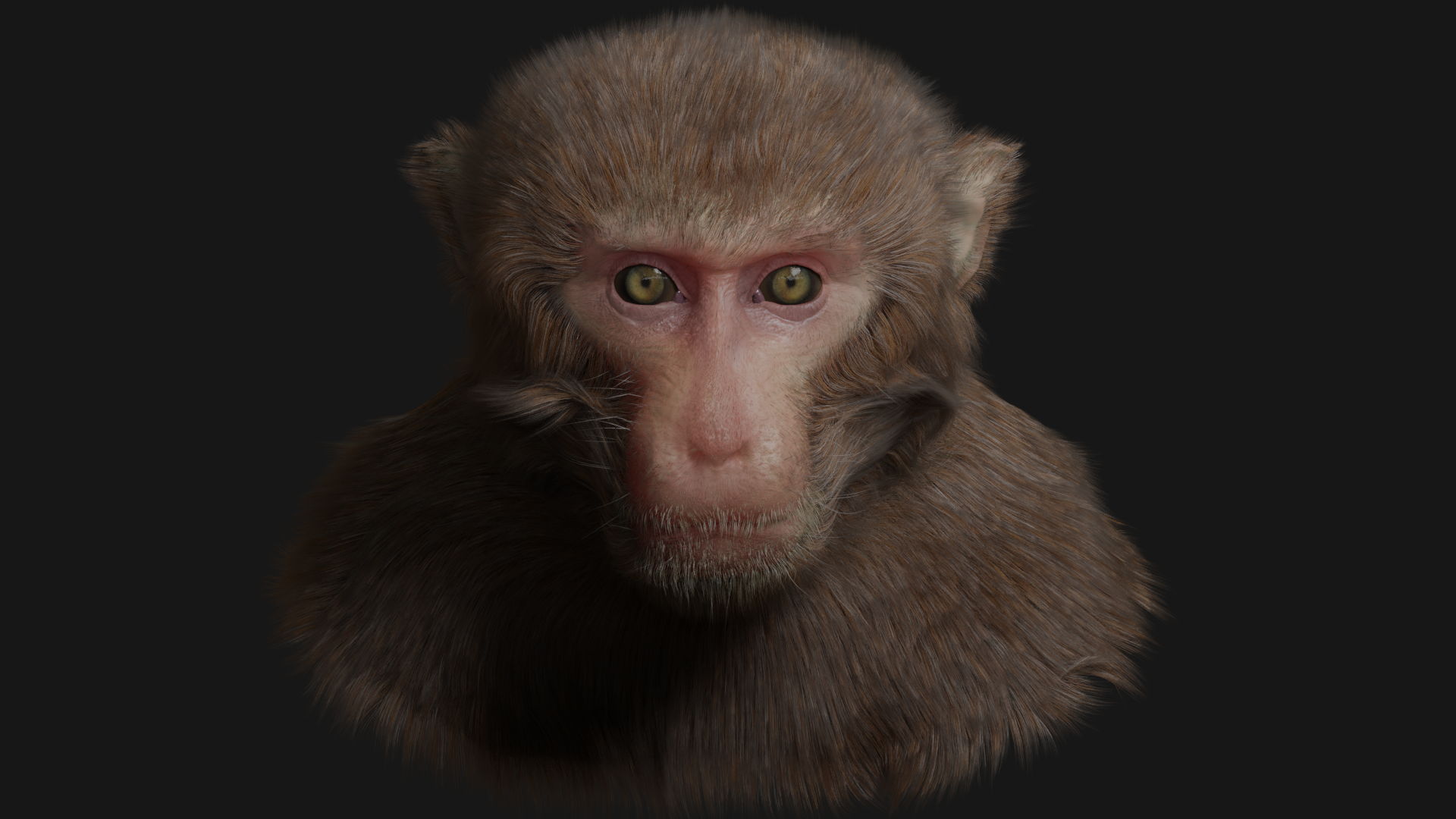 Monkey three2.png
