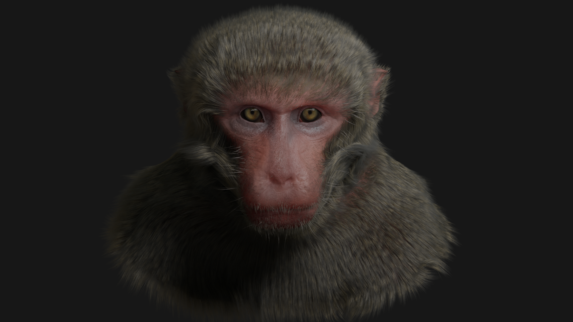 monkey two2.png
