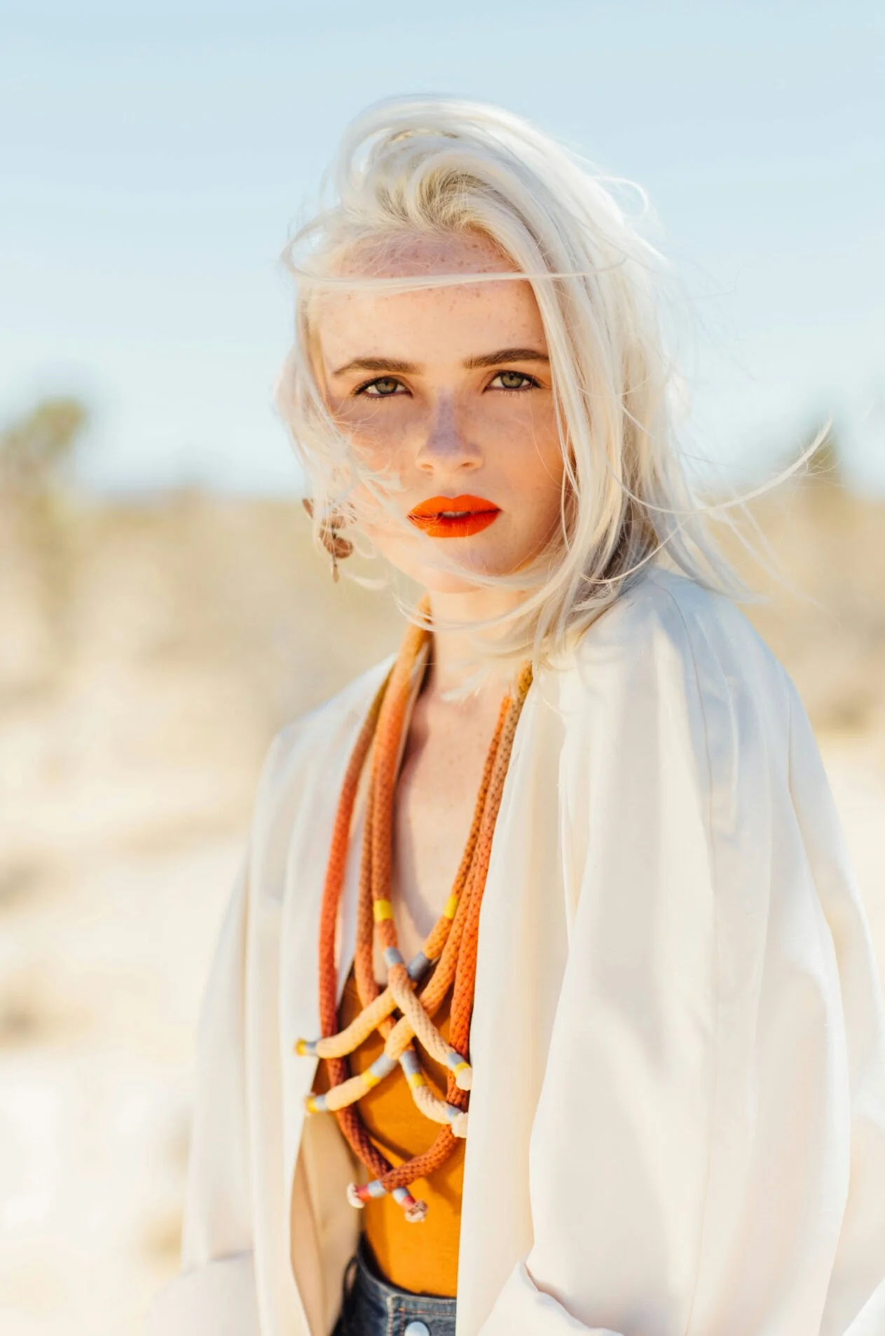 Desert Magazine