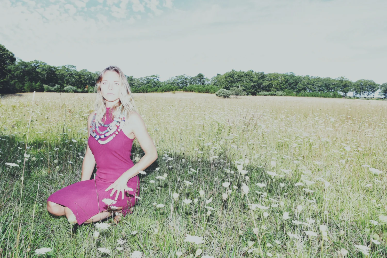 Morning Meadow