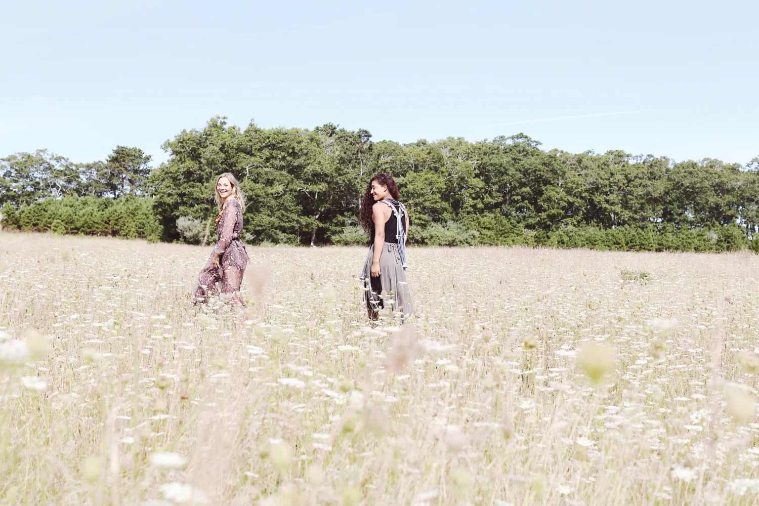 Morning Meadow