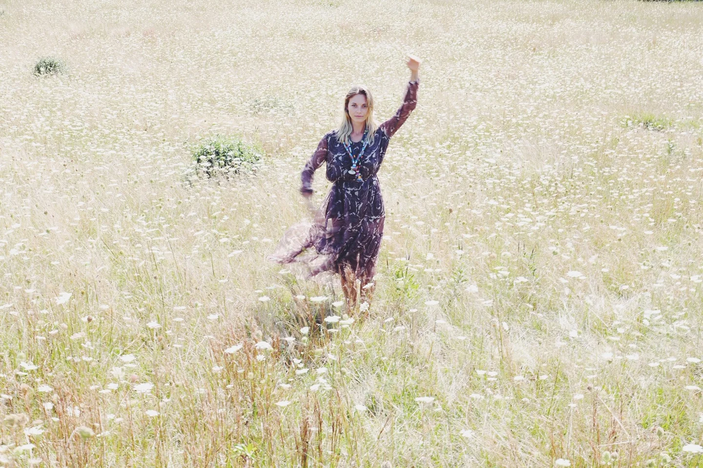 Morning Meadow
