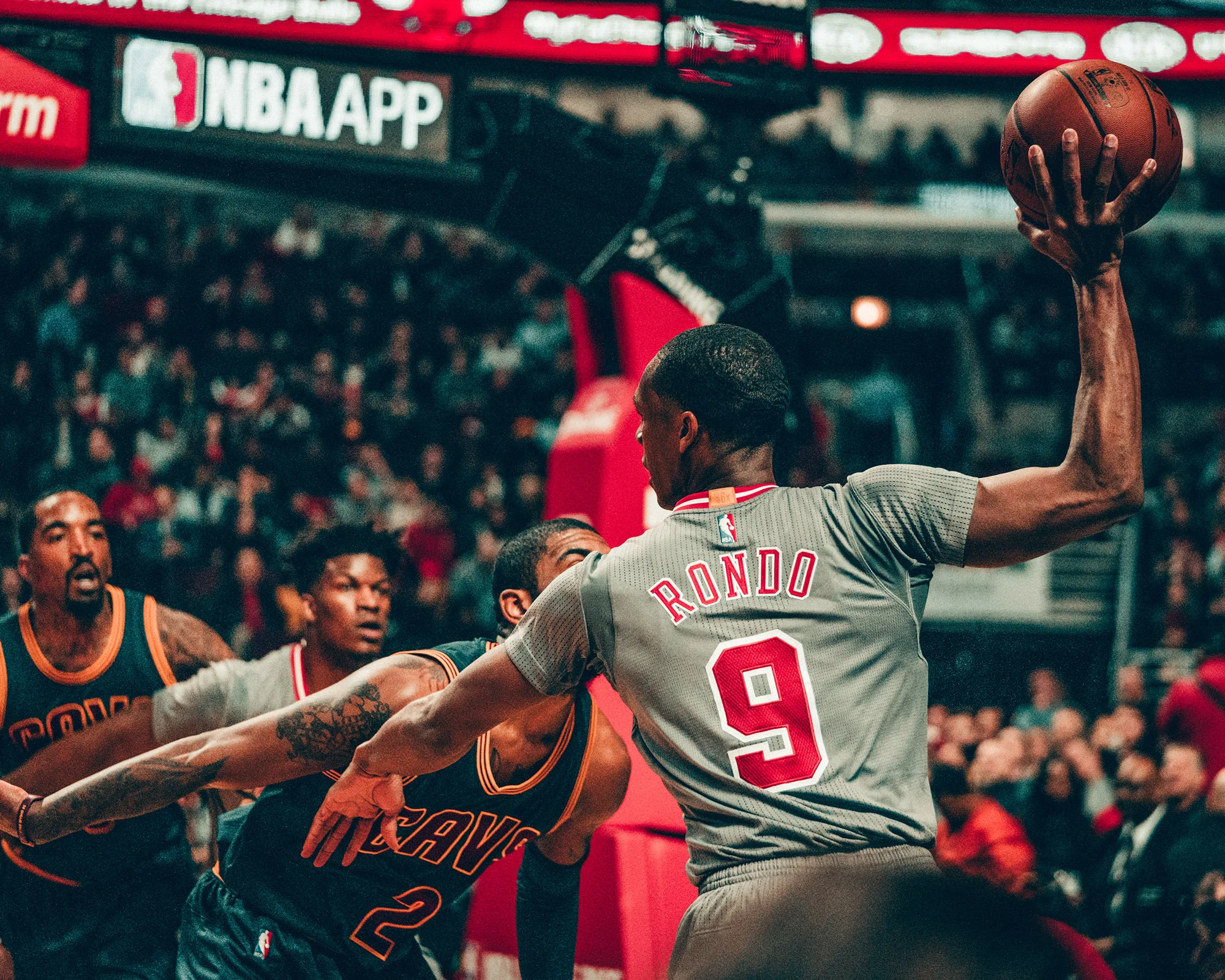 Bulls_03.jpg