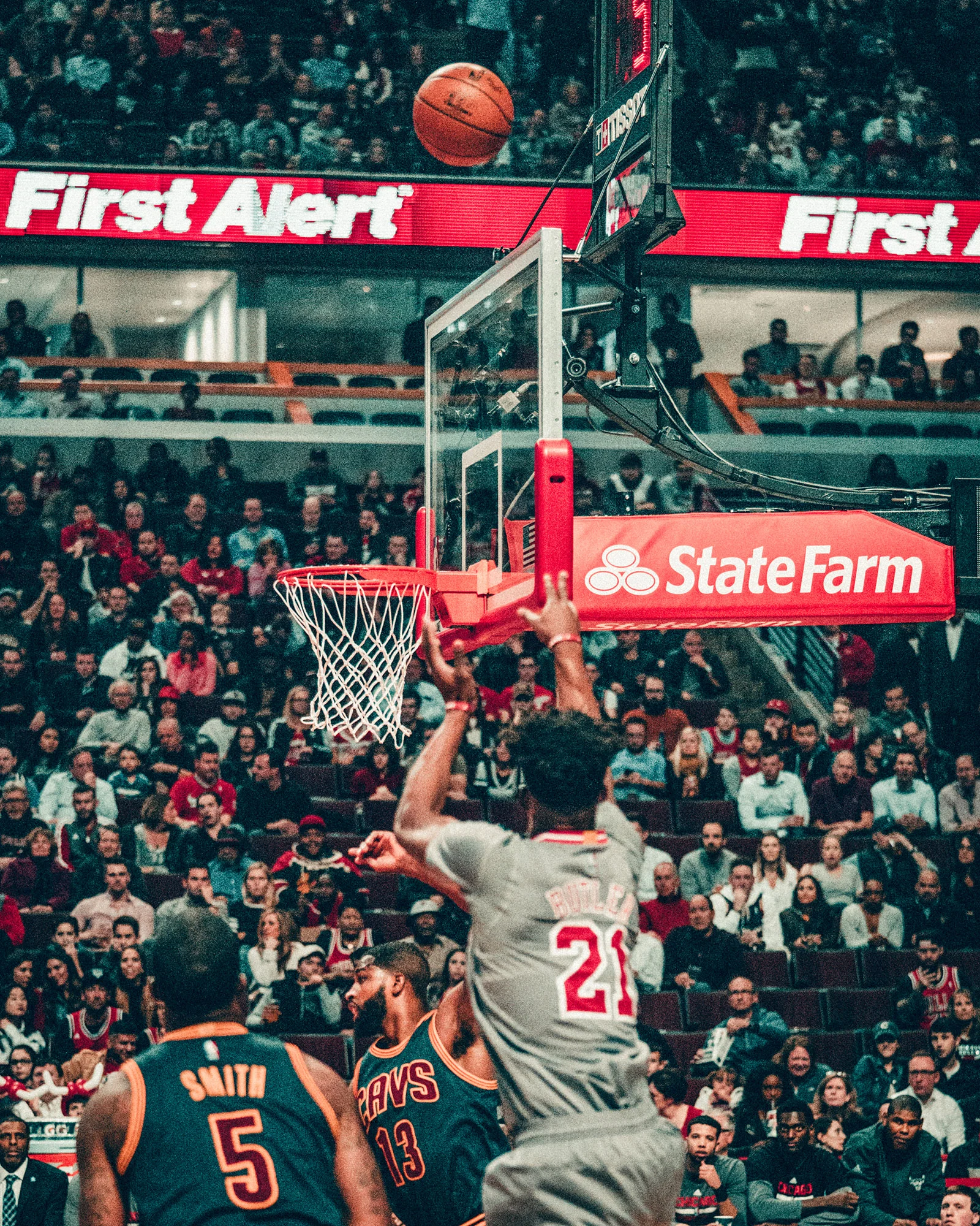 Bulls_09.jpg
