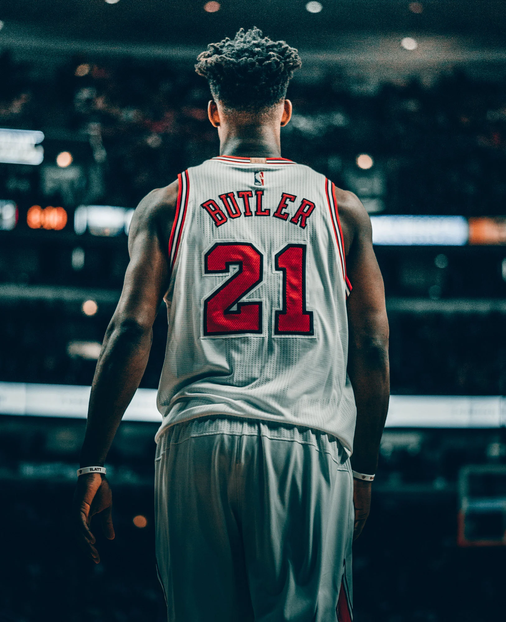 Bulls_16.jpg