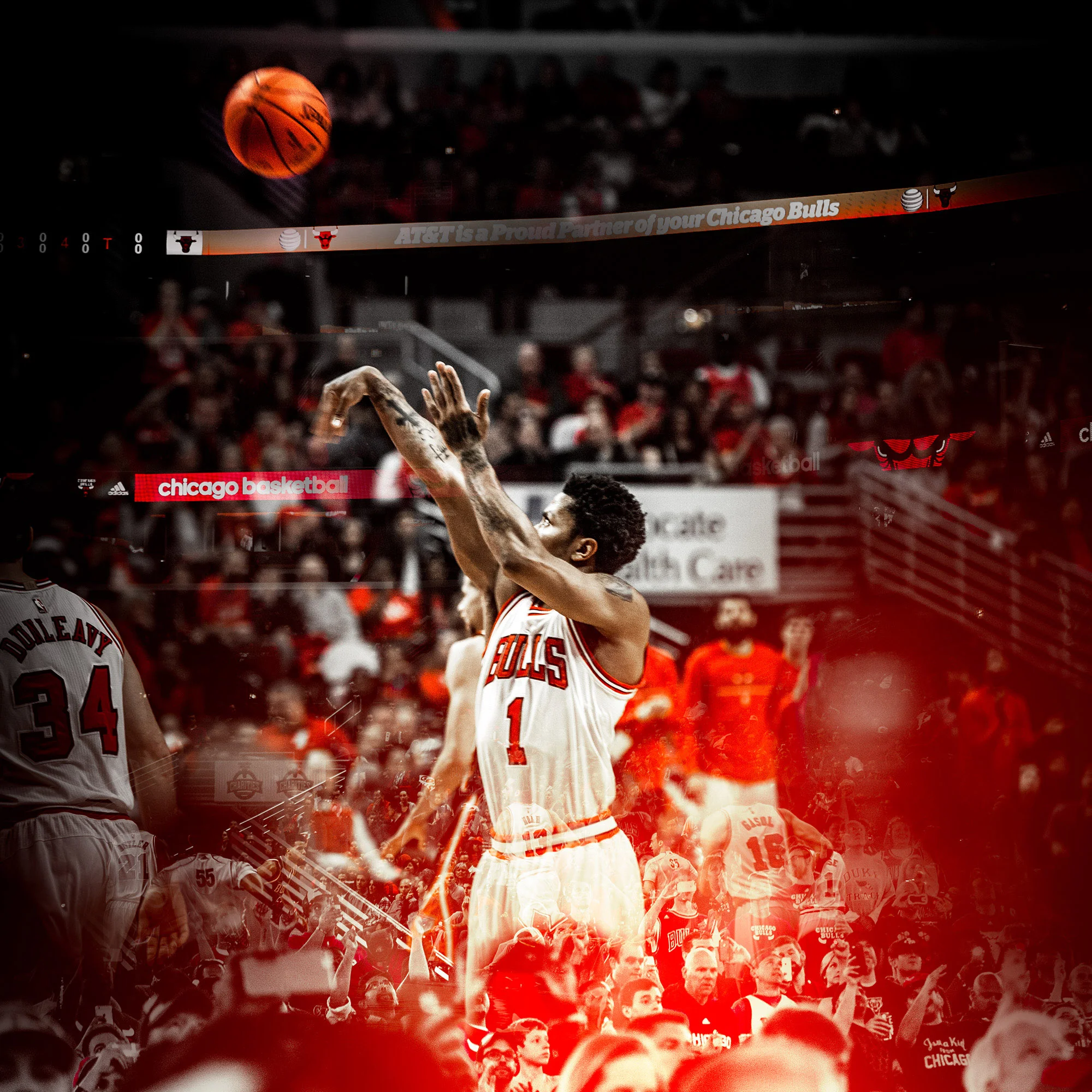 Bulls_23.jpg