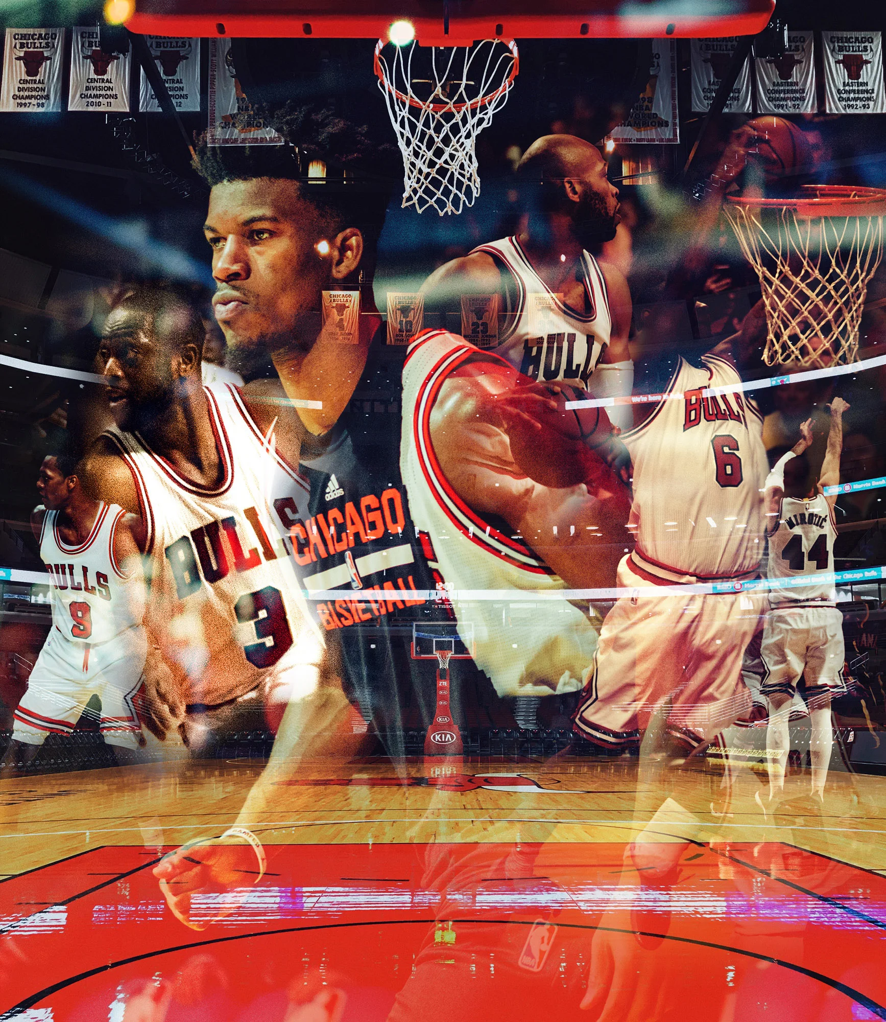 Bulls_24.jpg