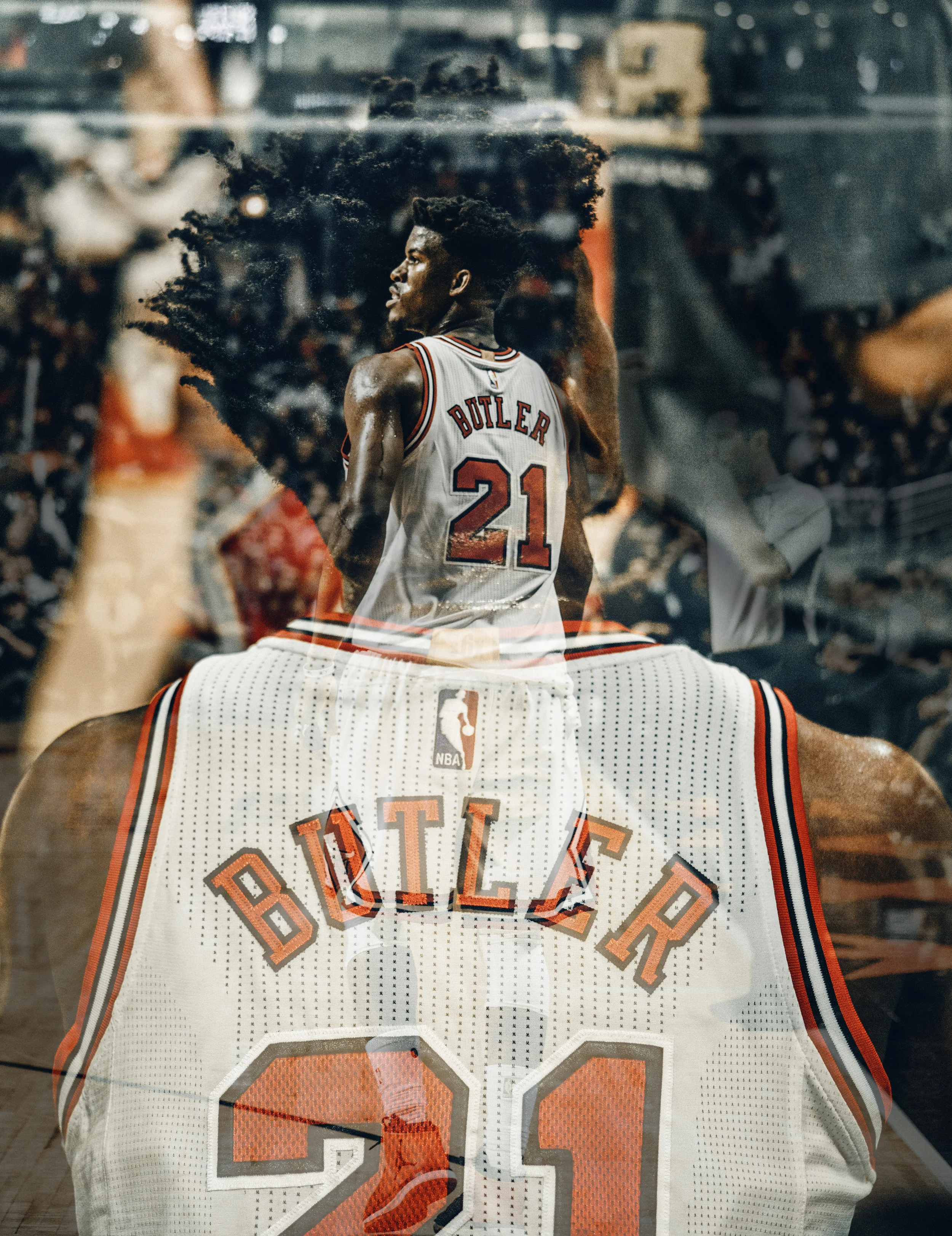 Bulls_19.jpg