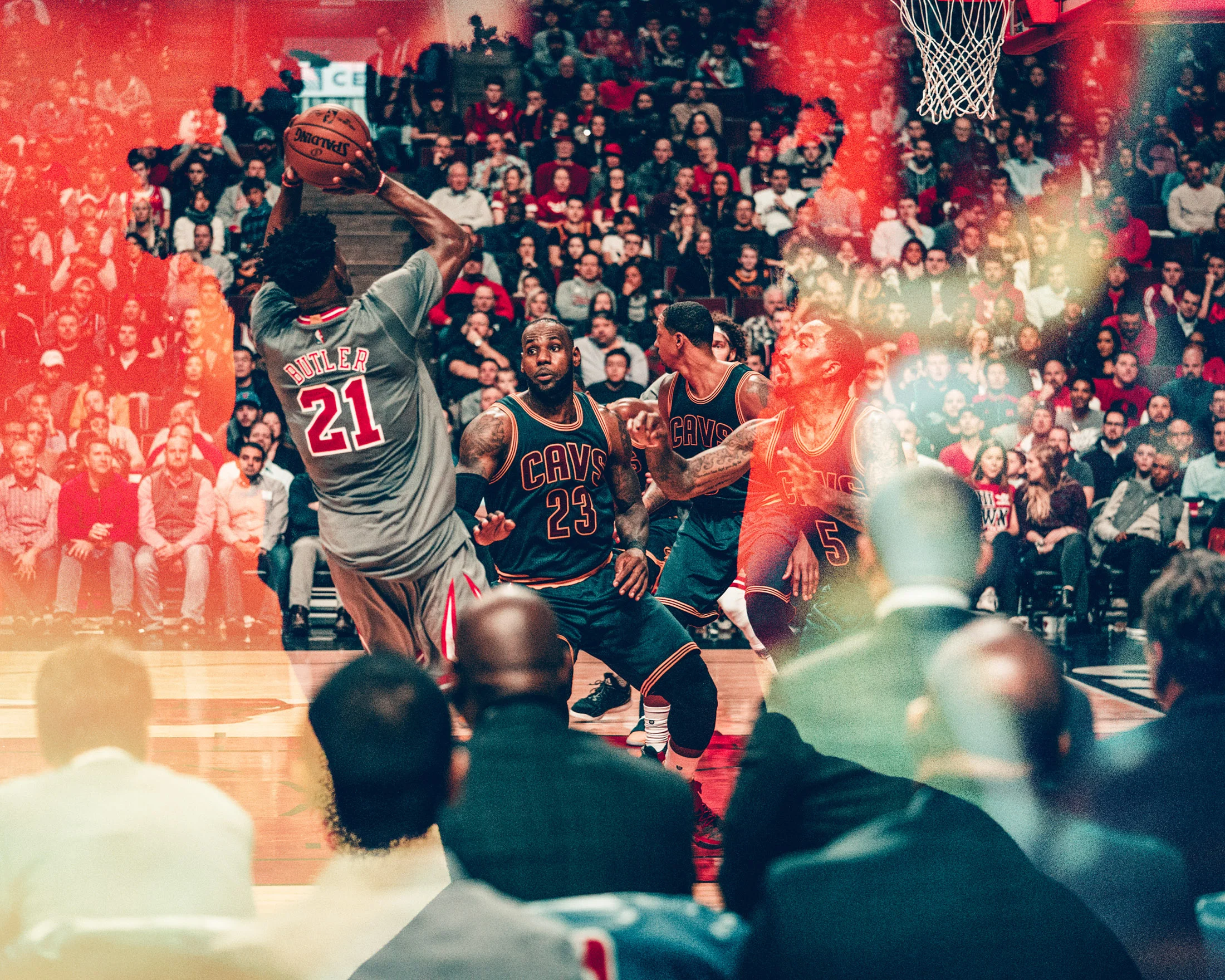 Bulls_26.jpg