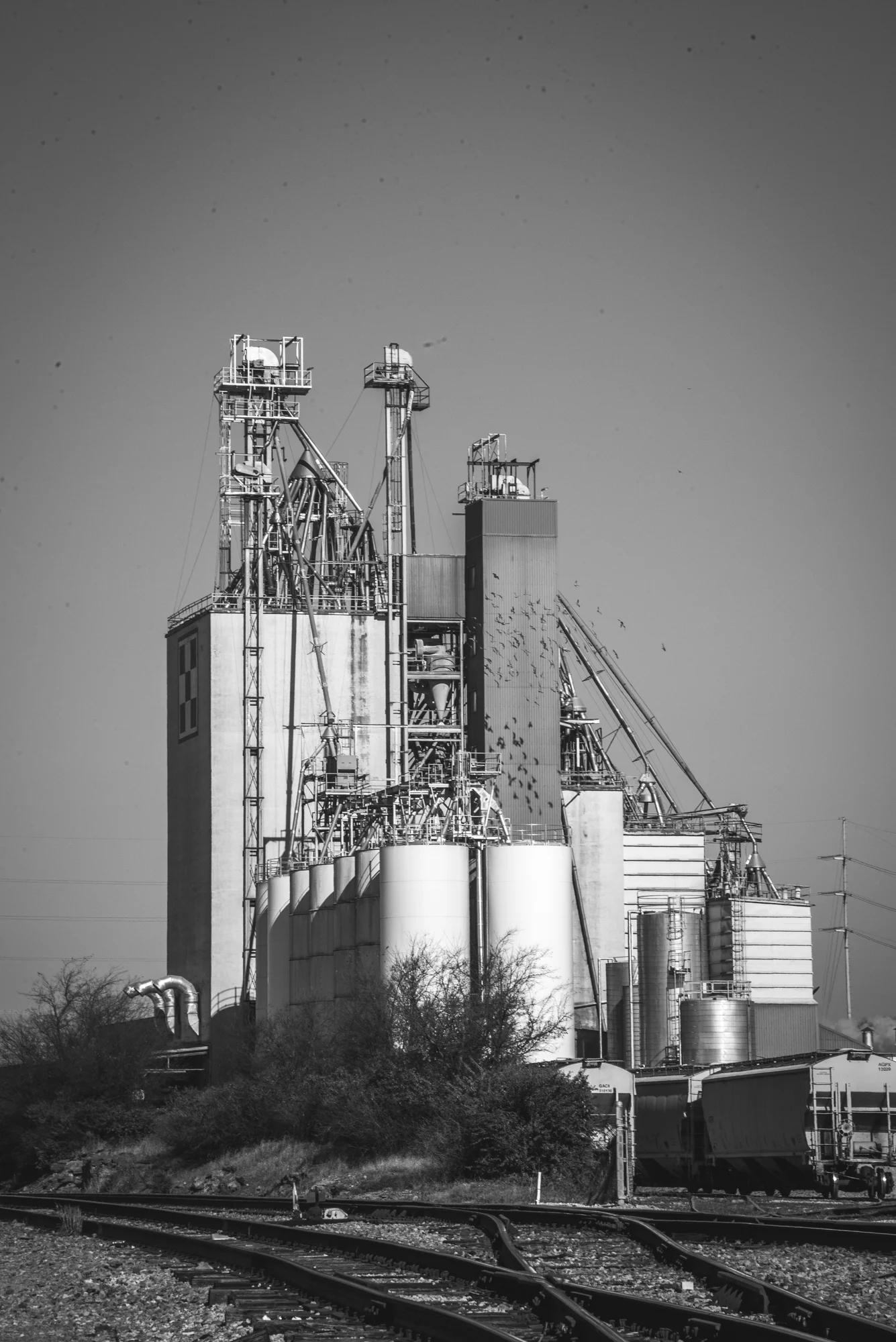 Railyard.jpg