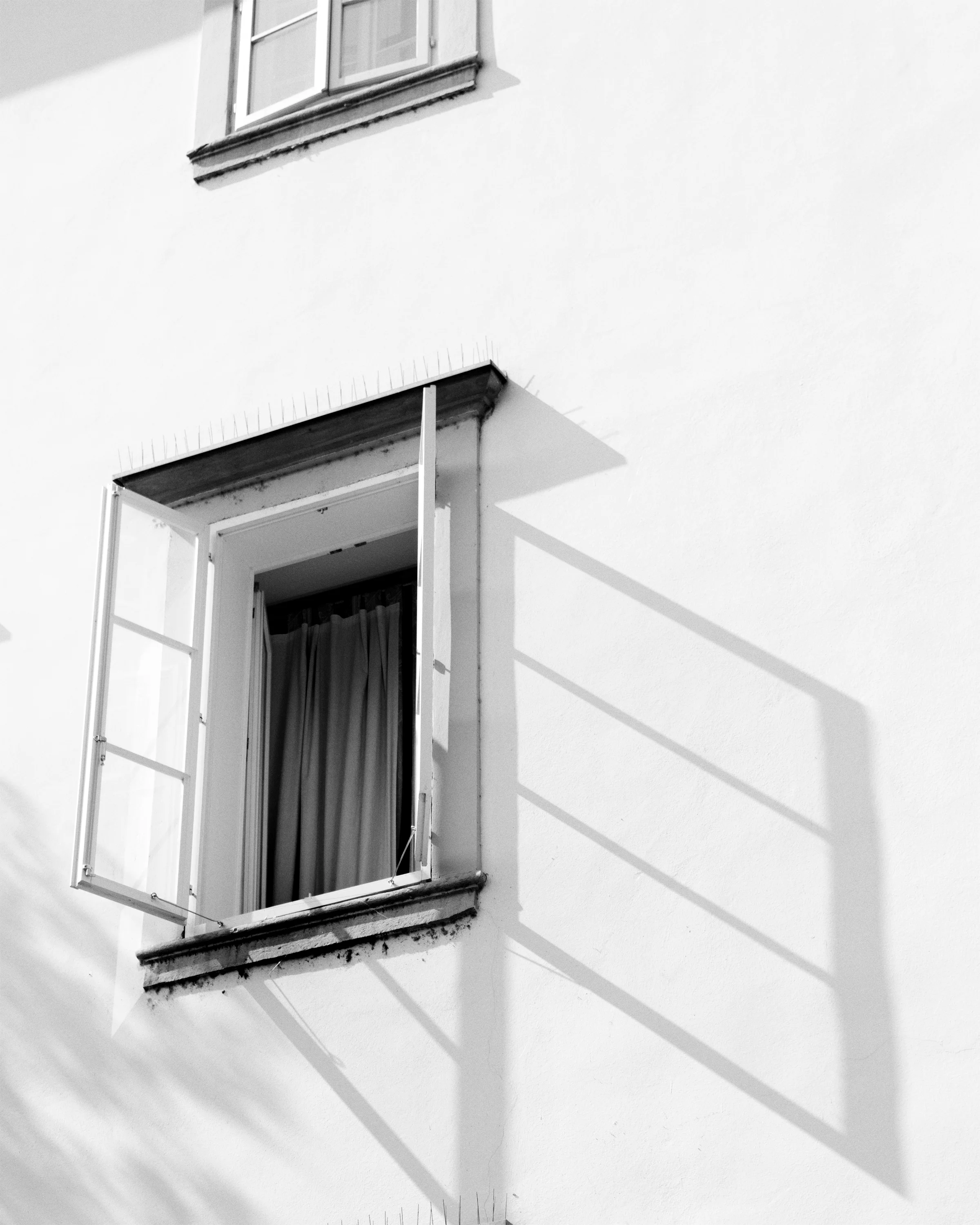 Window(8x10).jpg