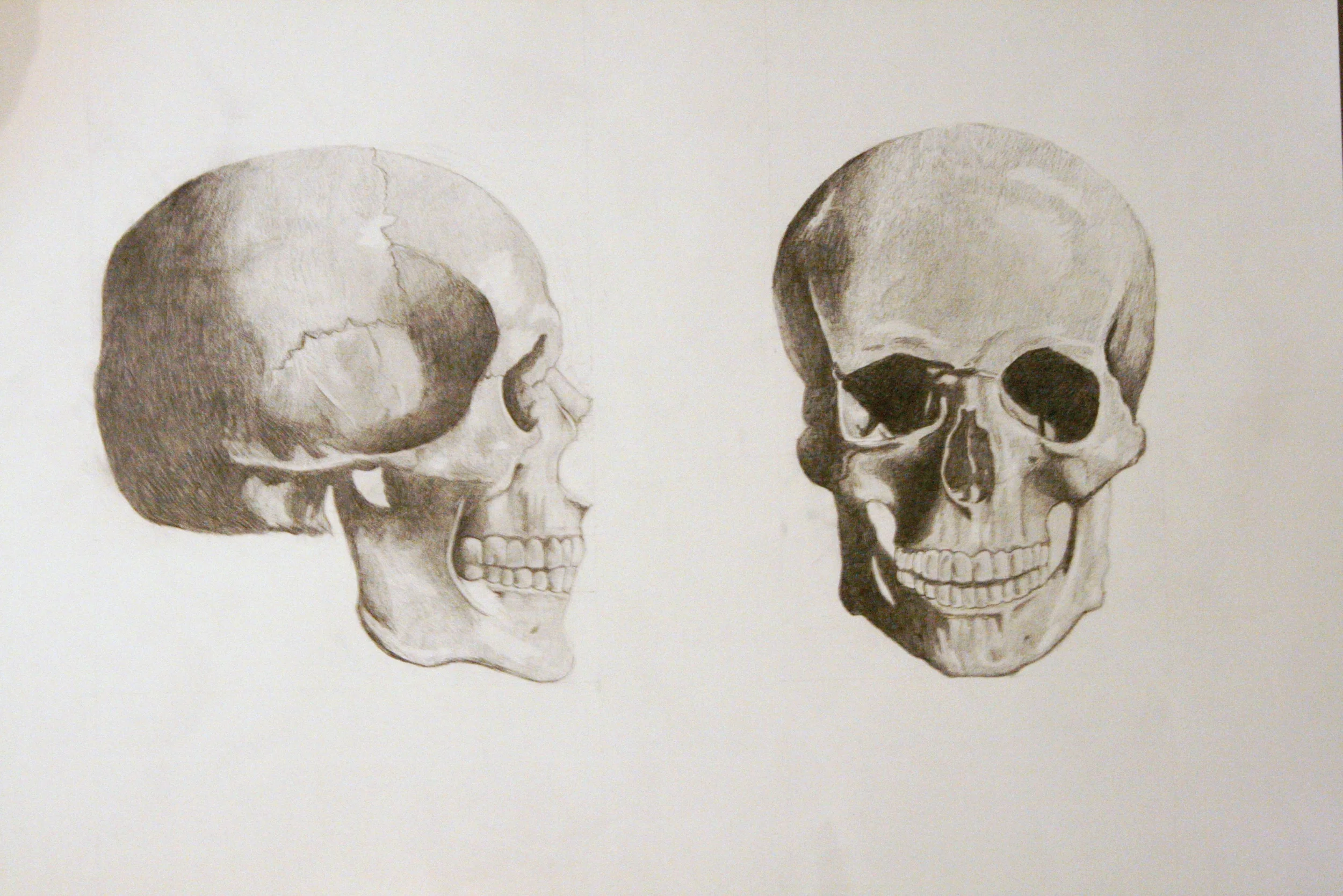 Skulls
