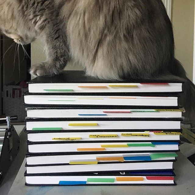 Hey, fellow art teachers— those of you who collect sketchbooks, how do you manage them? I only brought home about 1/3 of them. I’m planning to bring the rest home tomorrow.