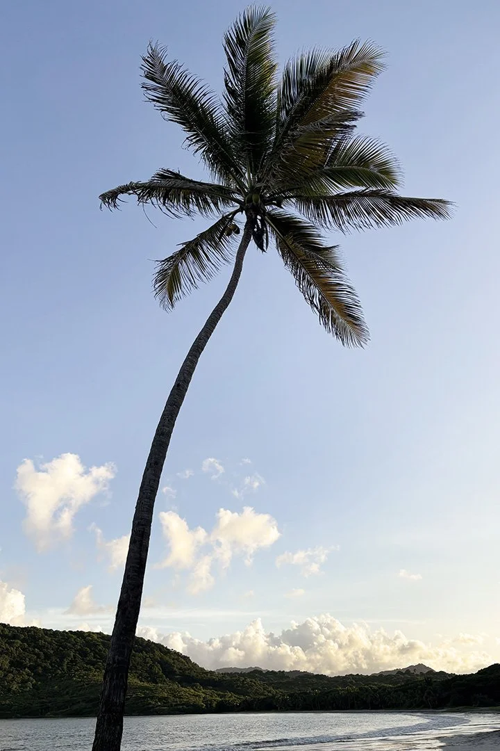 NC-Island Hideaway.jpg