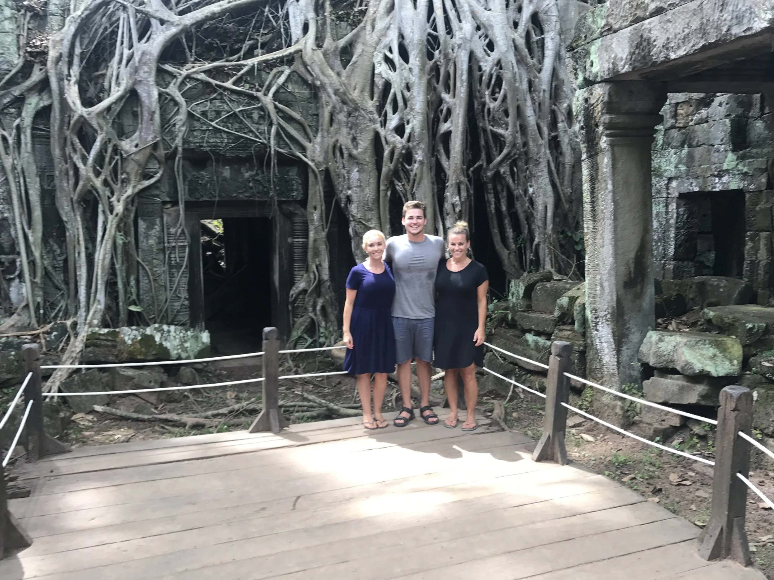  The famous Tomb Raider overgrown trees in Siam Riep, Cambodia. 