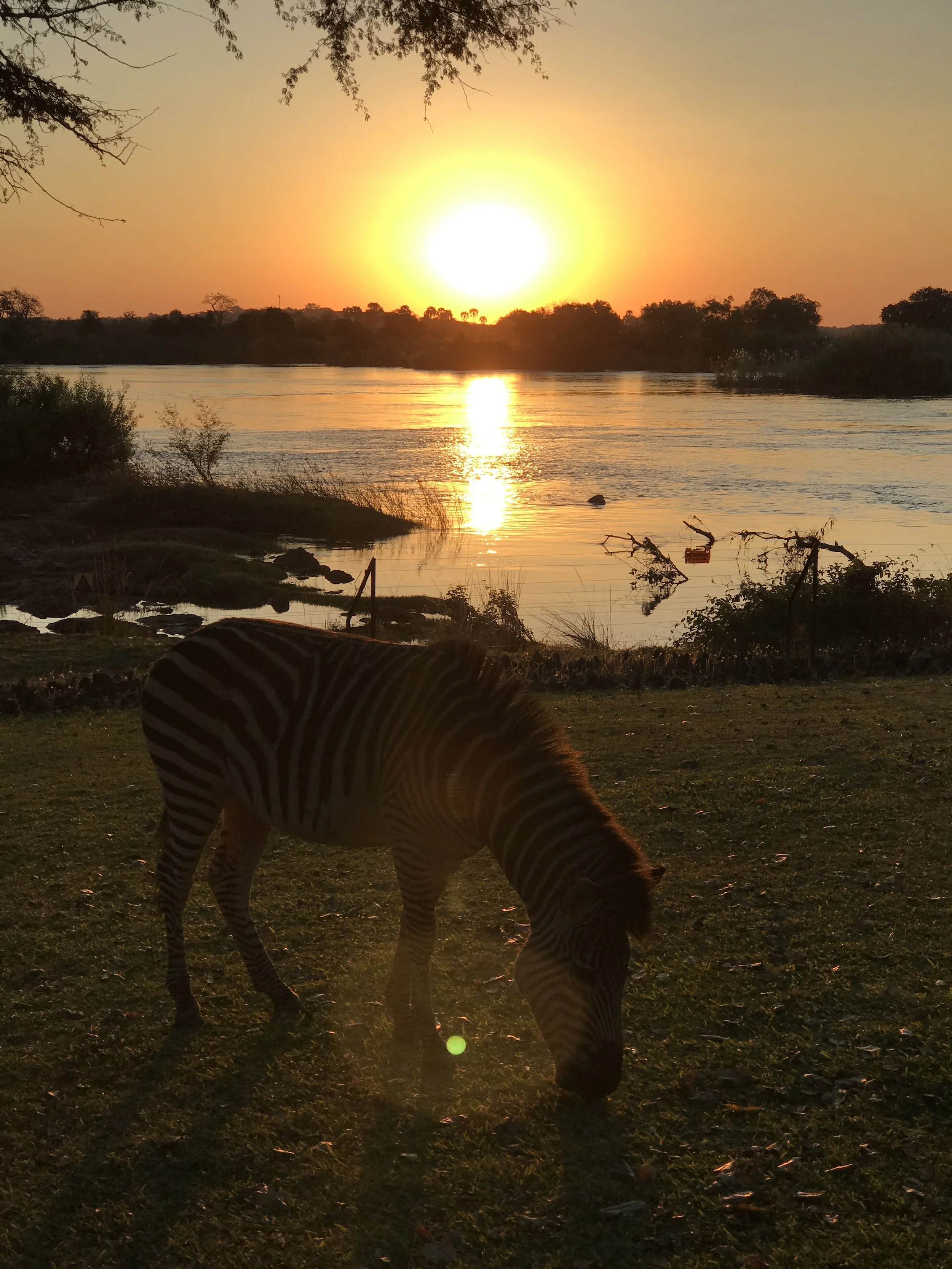  Breathtaking sunset over the Zambezi River.&nbsp; 