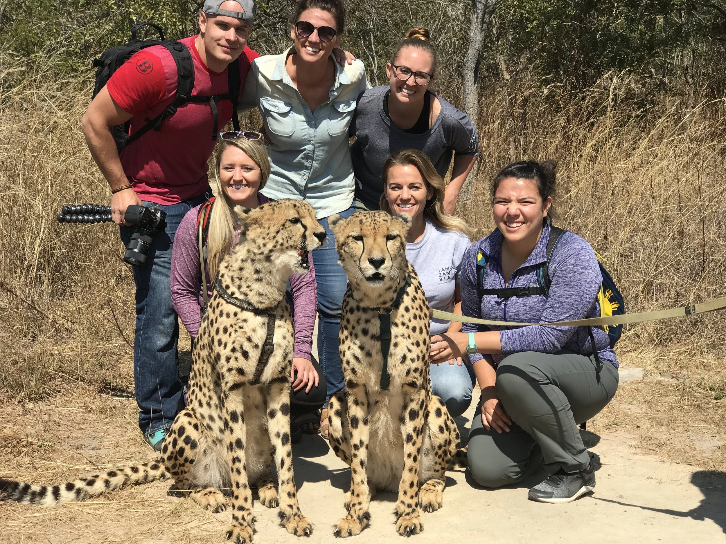  Cheetah Experience! We got to walk, pet and lay with these incredible cats. Join me on the next trip!&nbsp; 