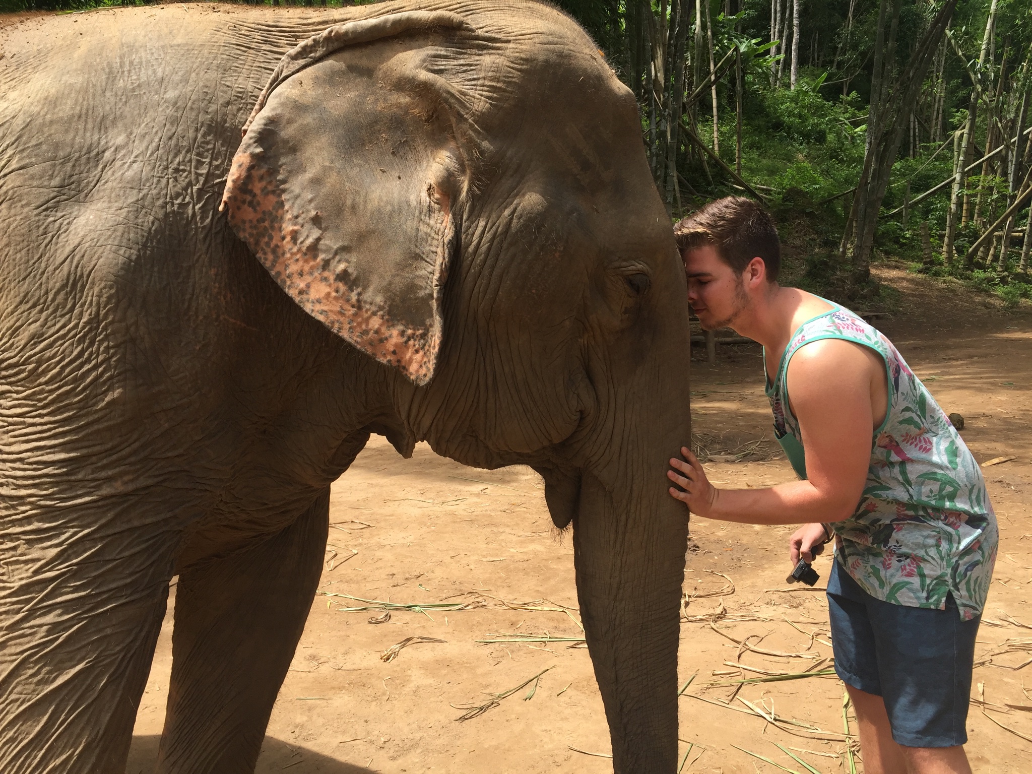 Elephant Sanctuary, Chiang Mai, Thailand