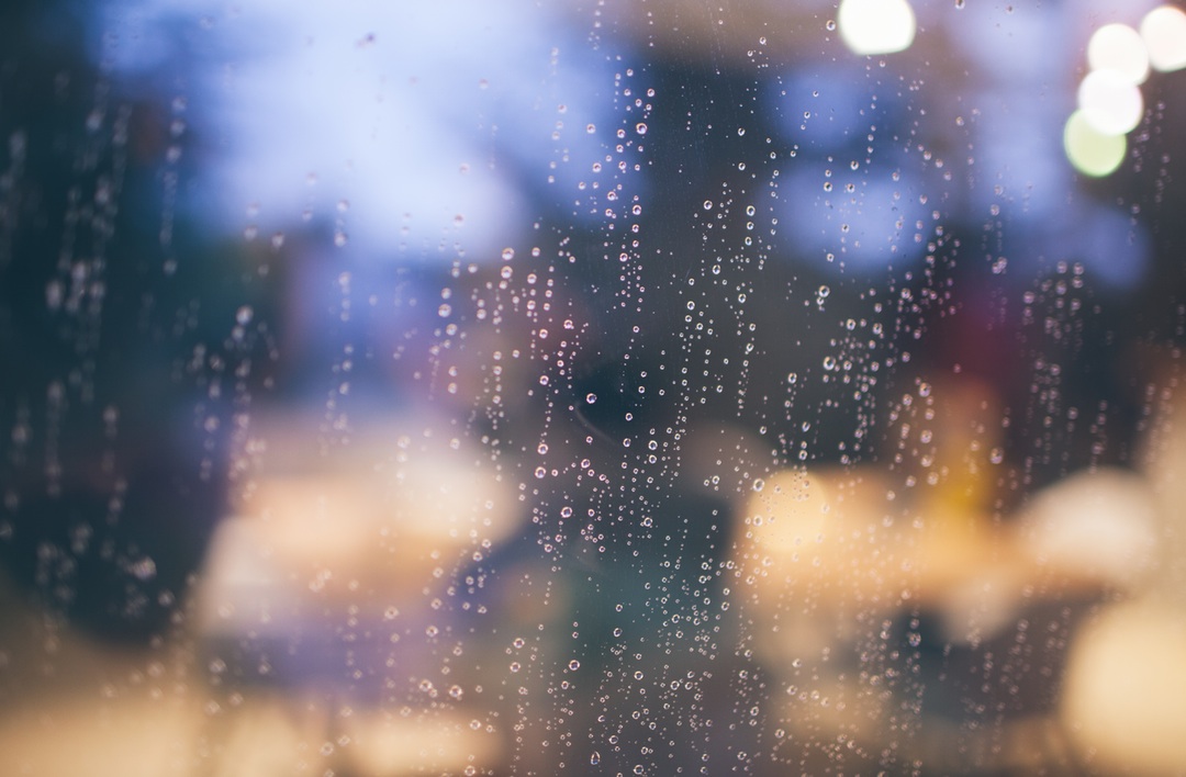 The Umbrella