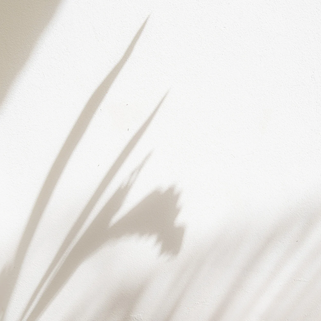 our history — FIELD & FINCH