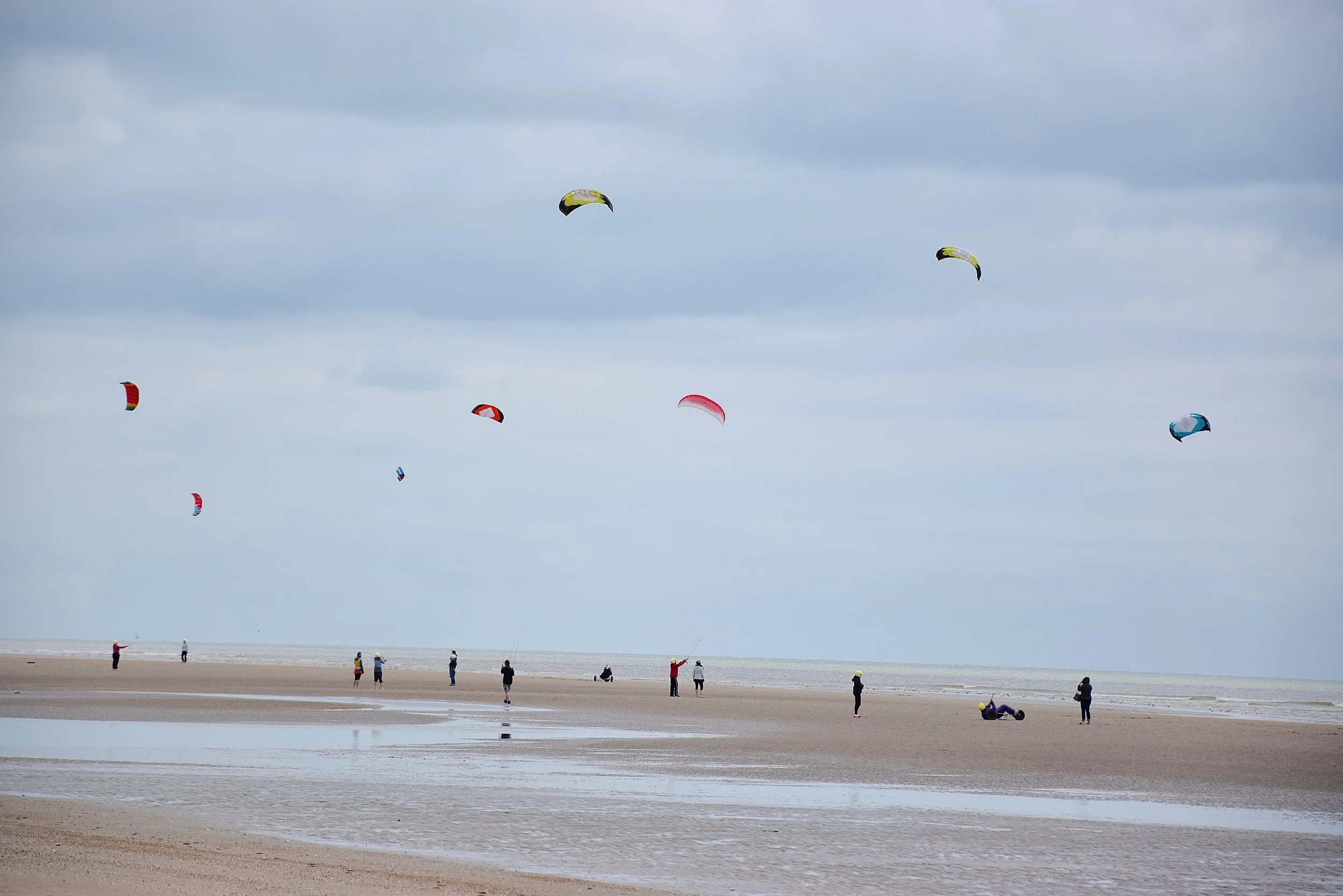 DSC_0251.jpg