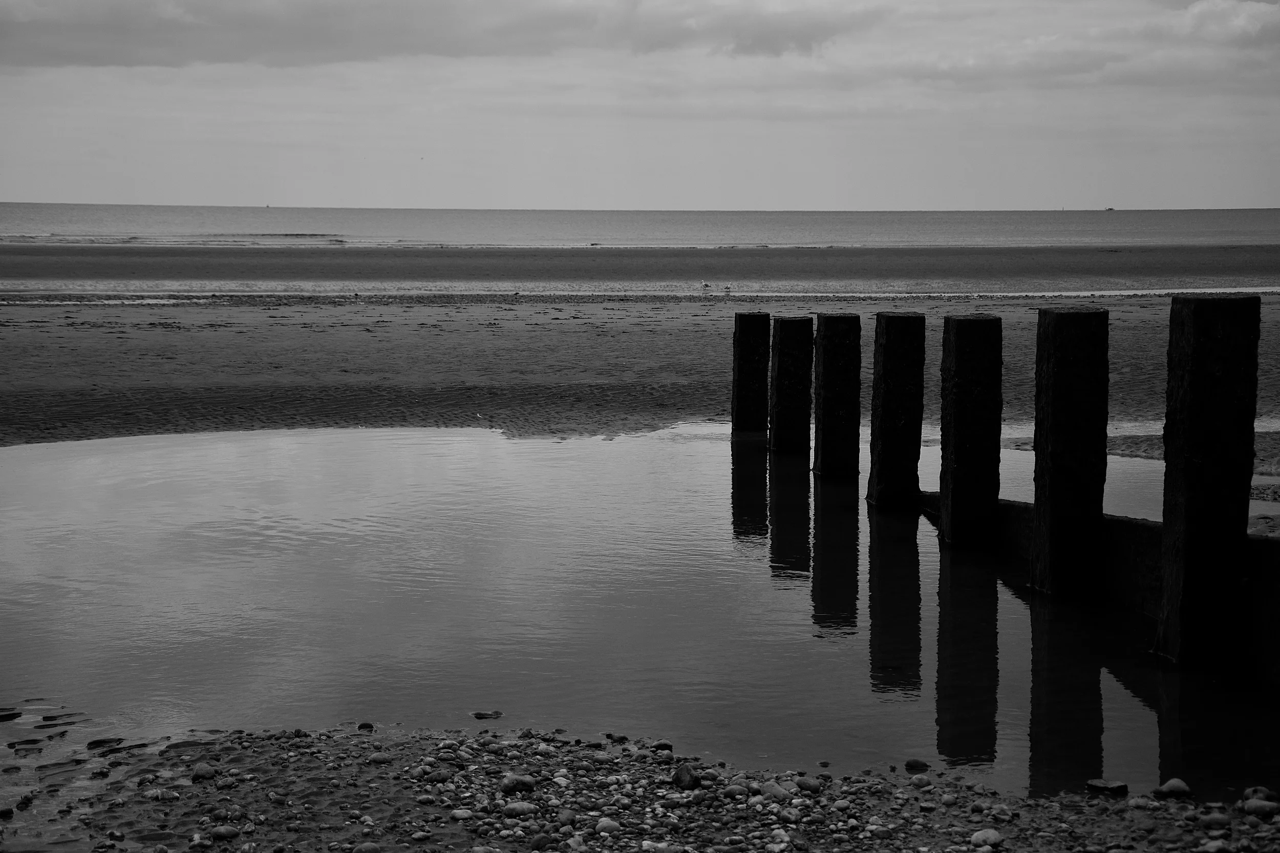 DSC_0293.jpg