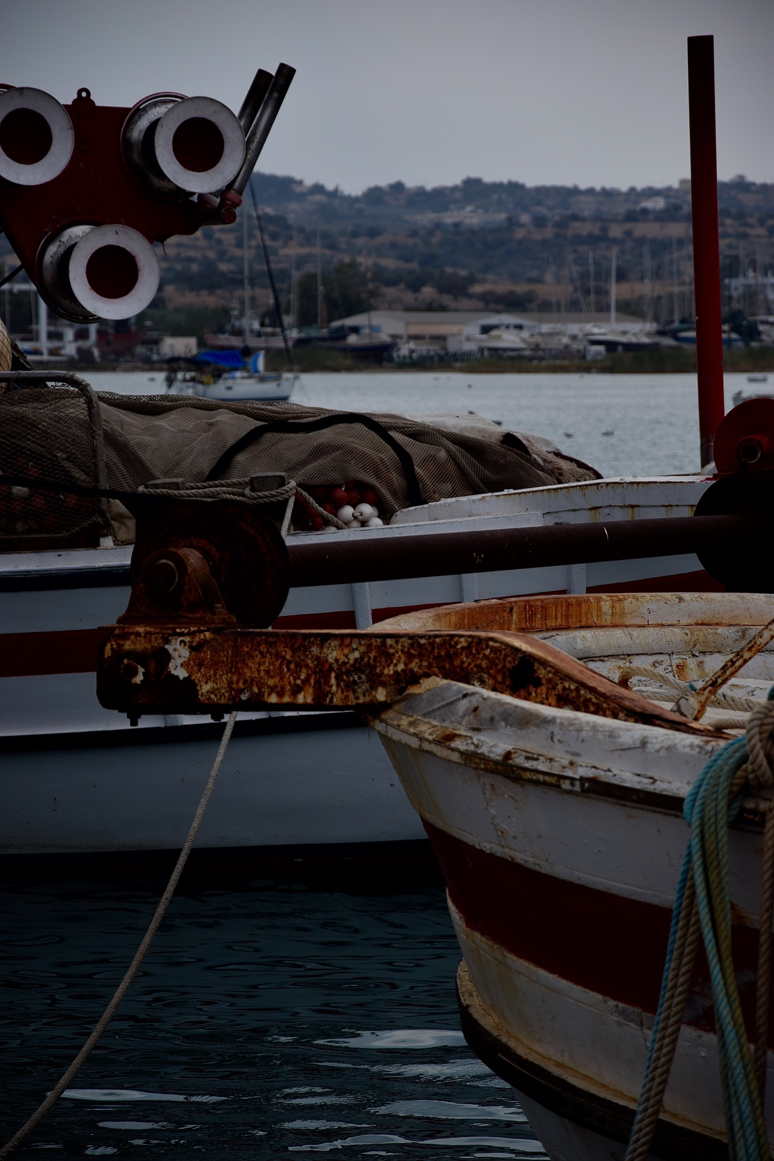 DSC_0423.jpg