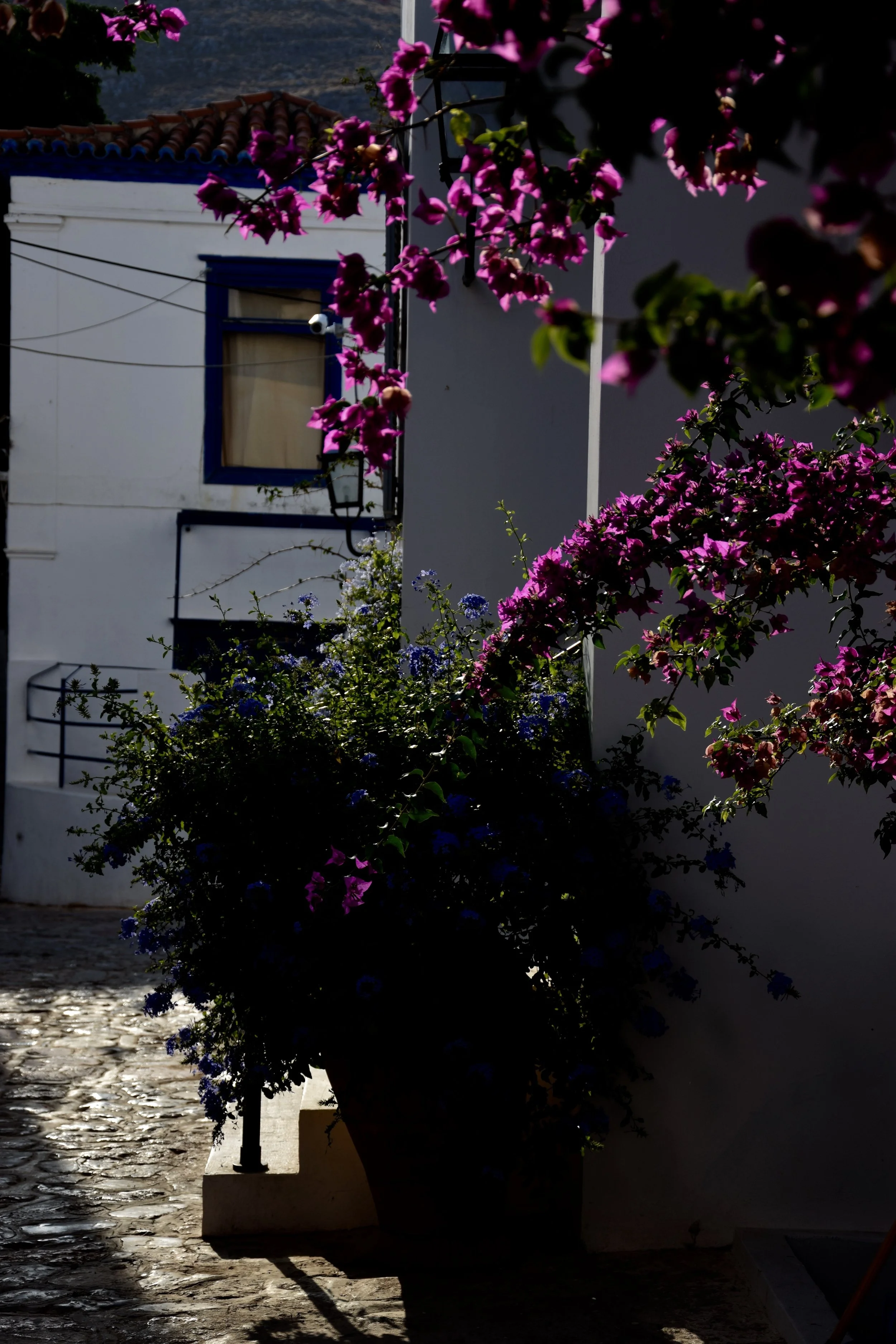 DSC_0511.jpg