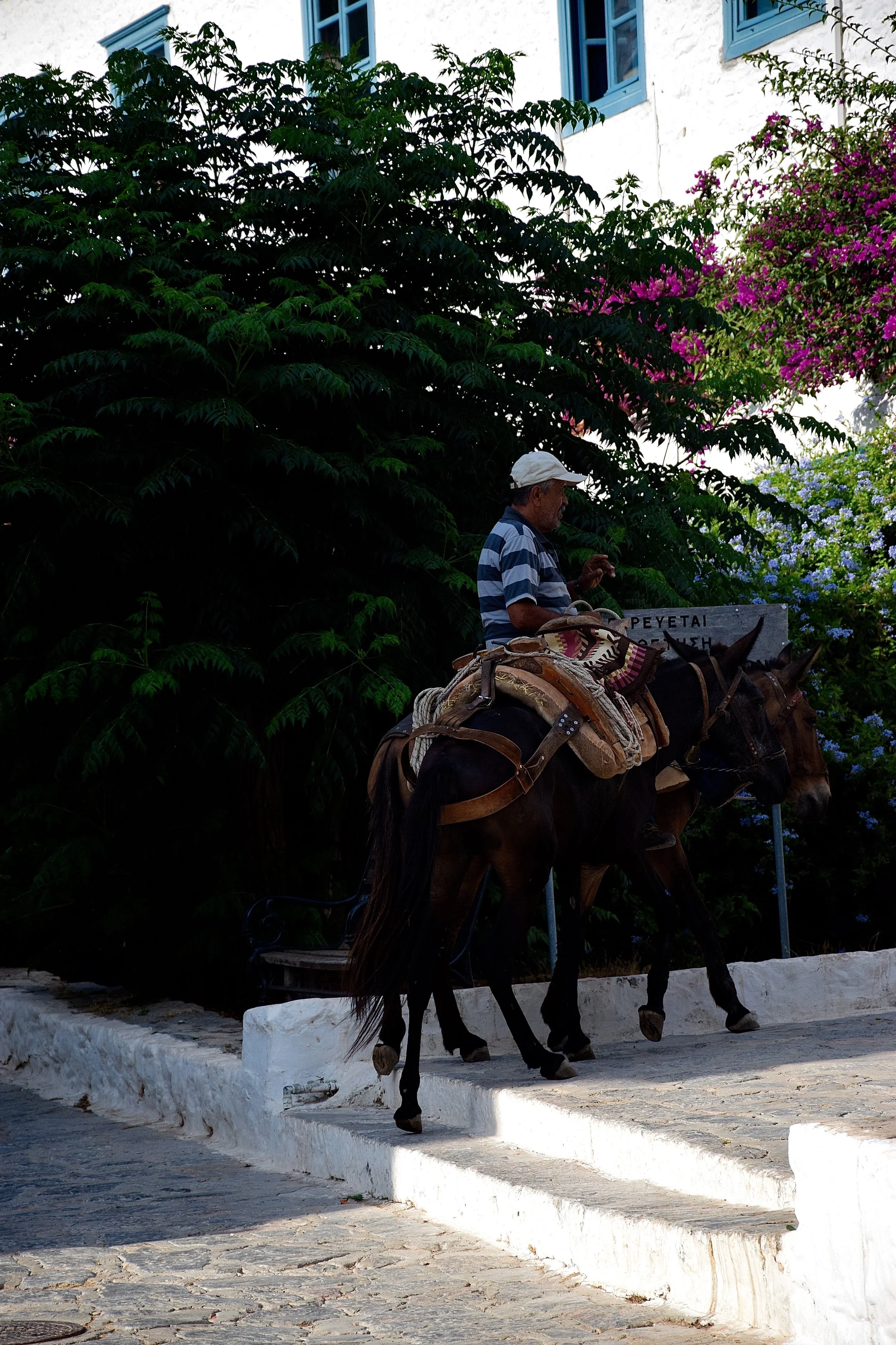 DSC_0535.jpg