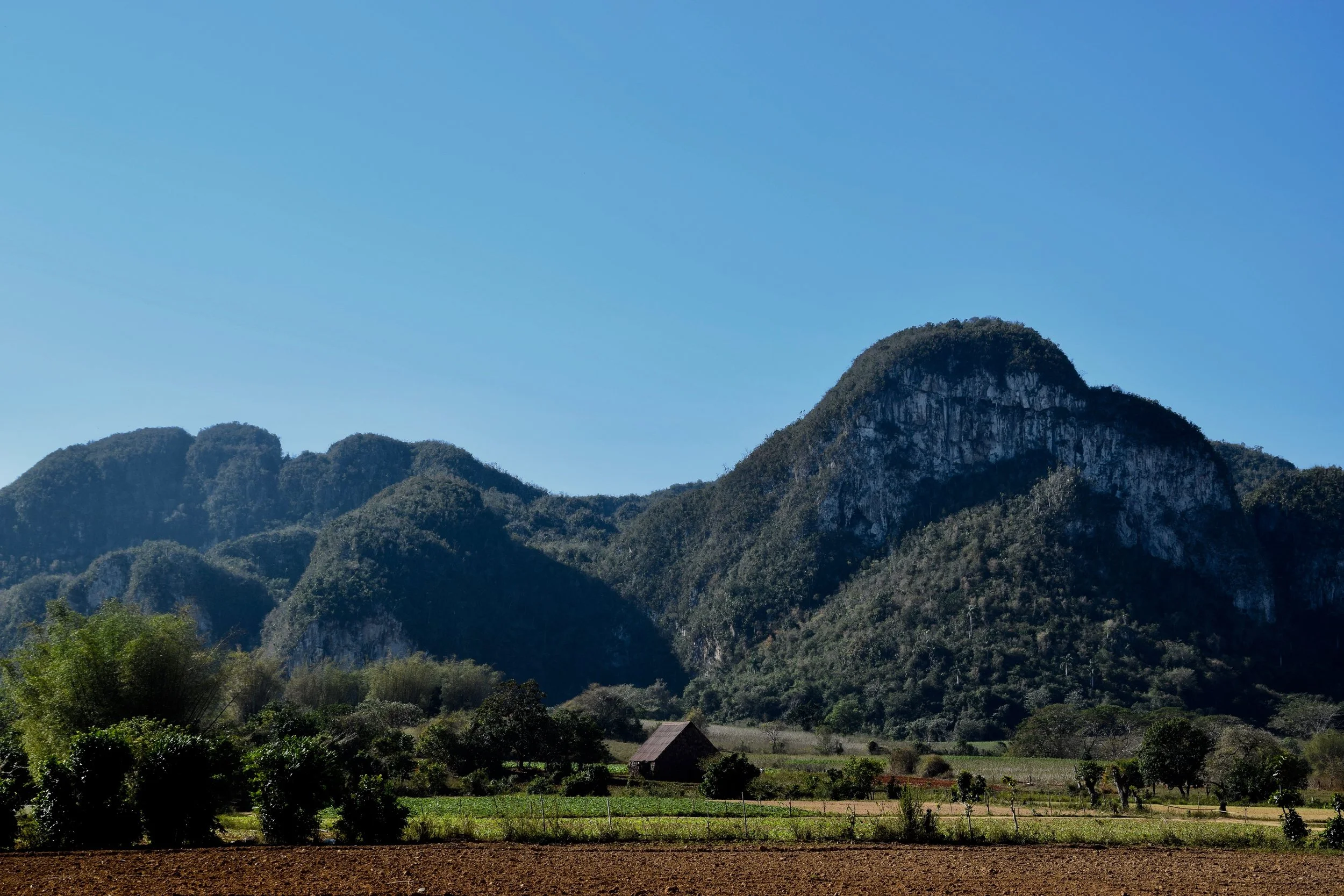 VINALES 3.jpg