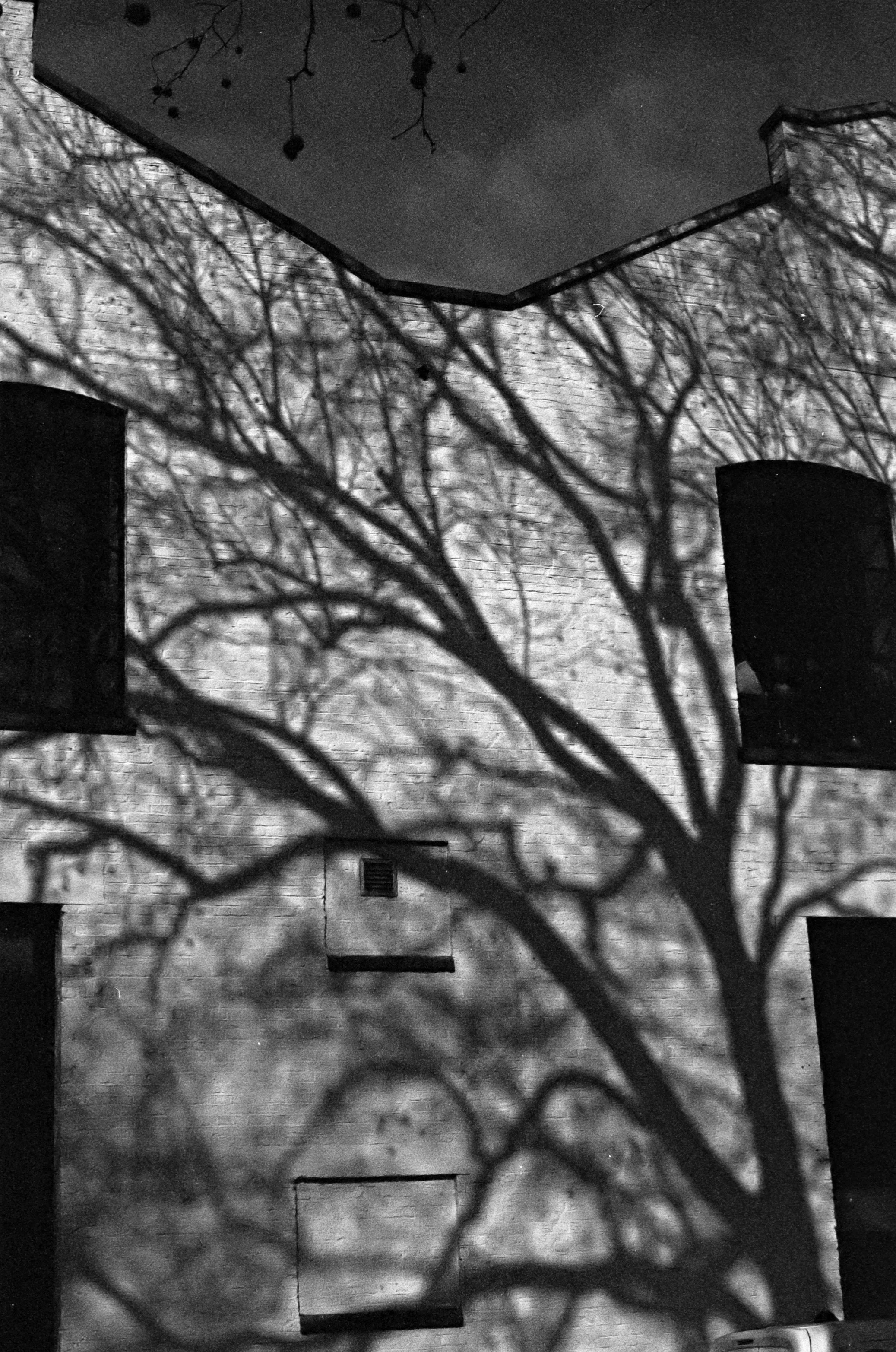 Shadows 