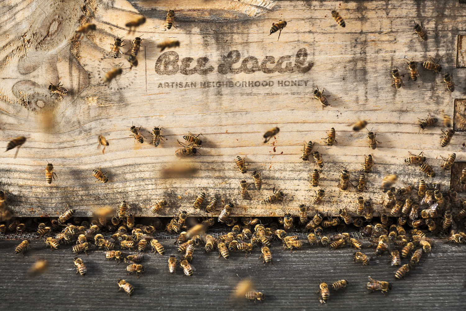 Bee Local Beehive - Portland, Oregon