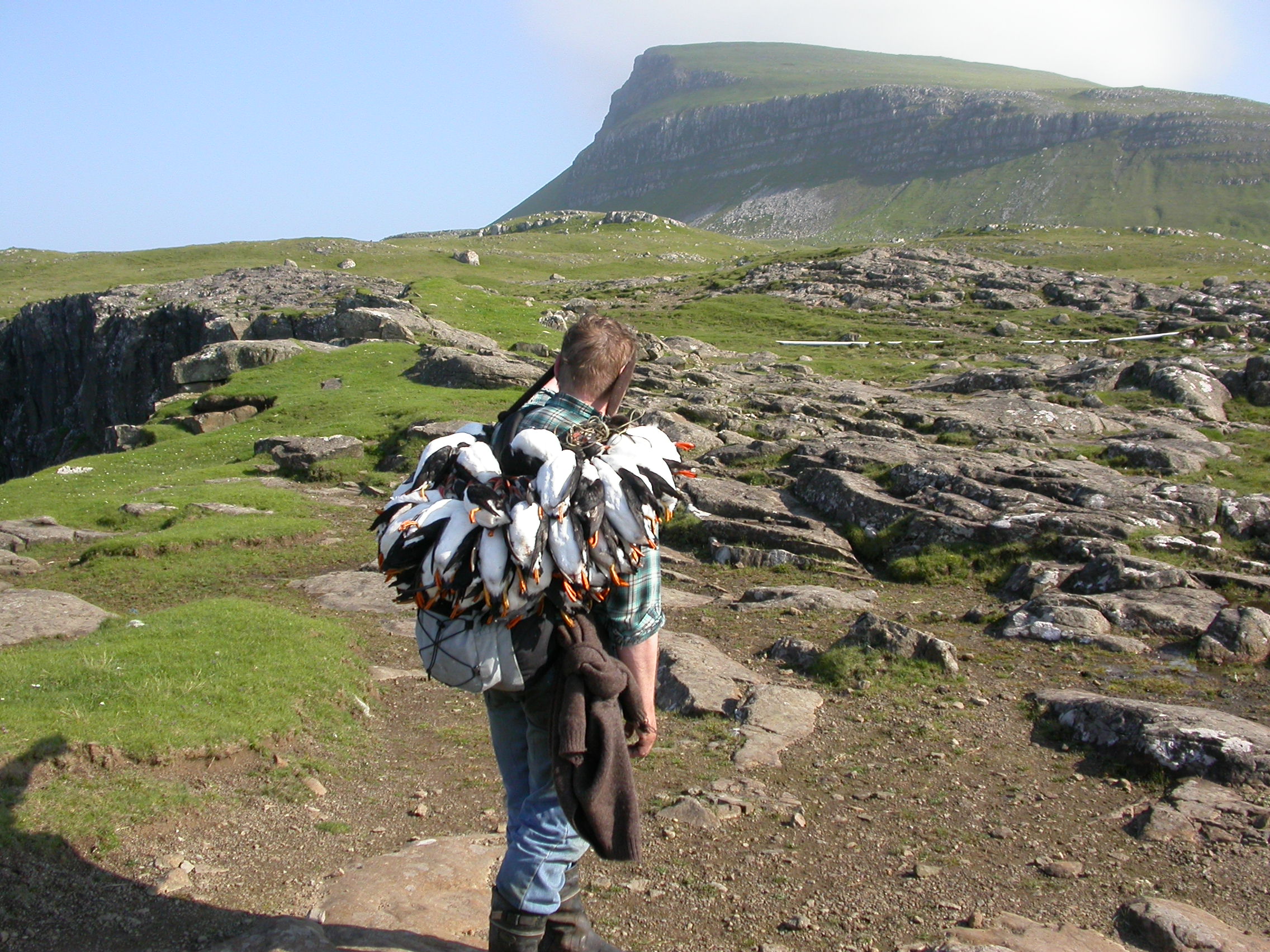 Góður fongur. Mynd: Hans Eli Sivertsen