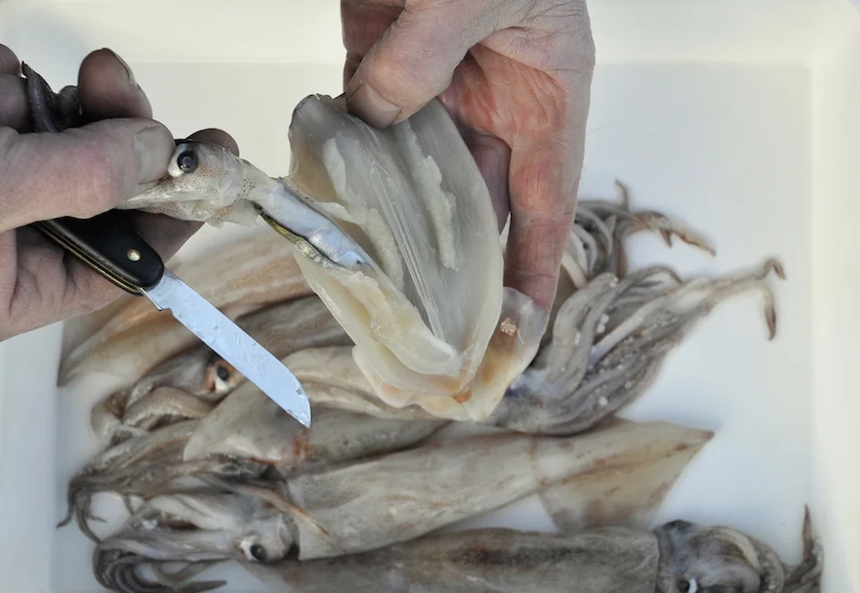 At fóðra fiskunum