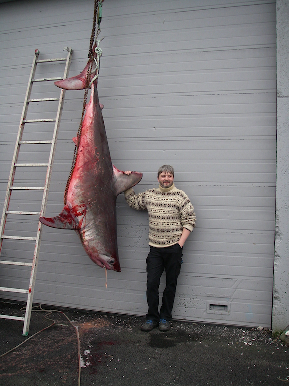 Hem- arin á myndini vigar 223,5 kg og er 224 cm langur, og tað er Johan Simonsen, sum fiskaði hann. Myndin er tikin uttan fyri Føroya Sjósavn. Mynd: fiska.fo