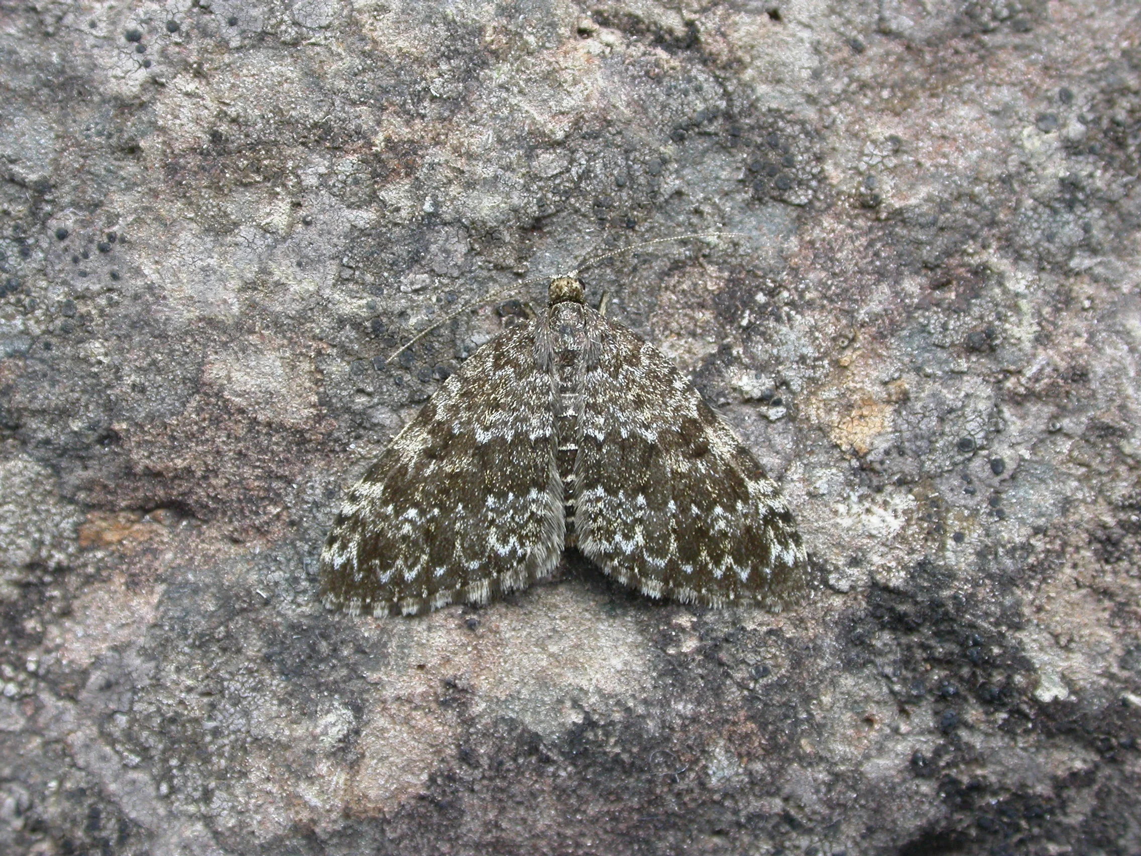 Píka5 leita og finn!