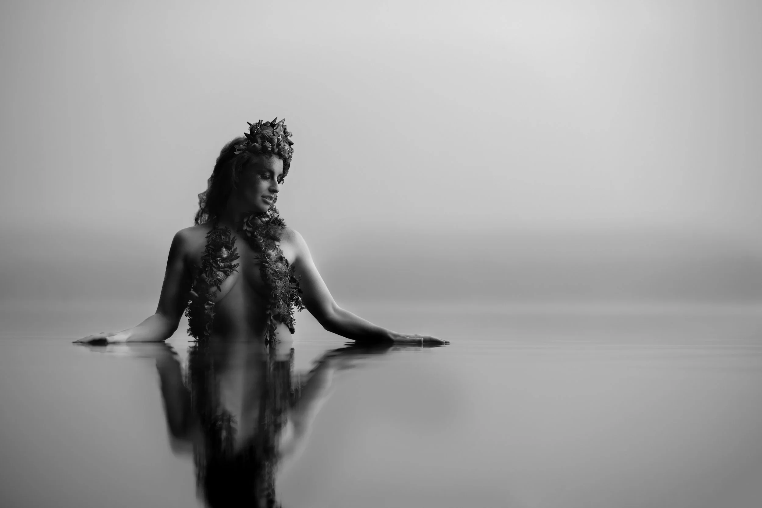 Image by Catberry Studios