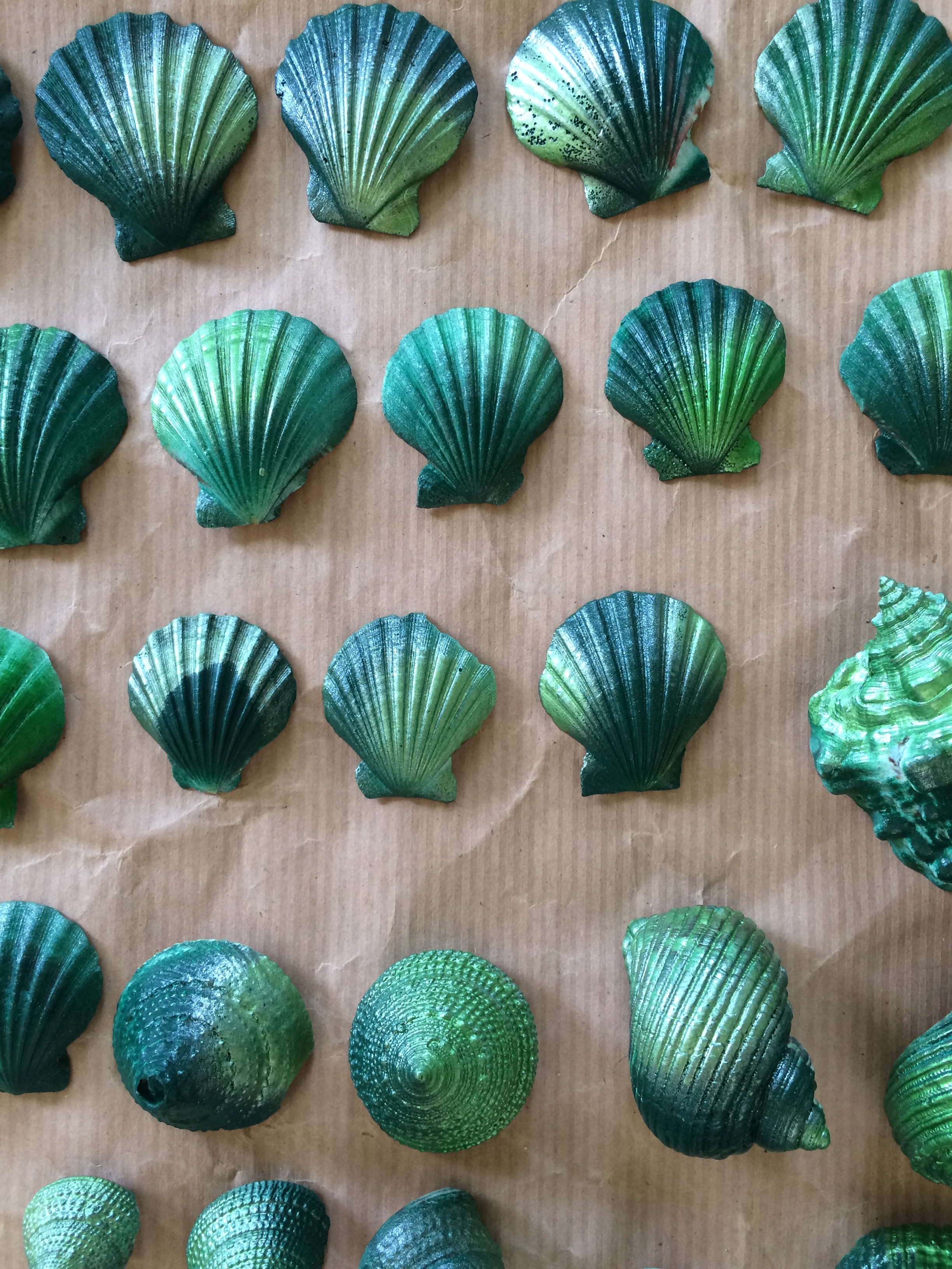 Spray painted shells in two shades of green