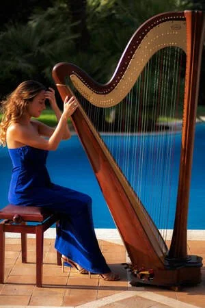 photo-harp-1.jpeg