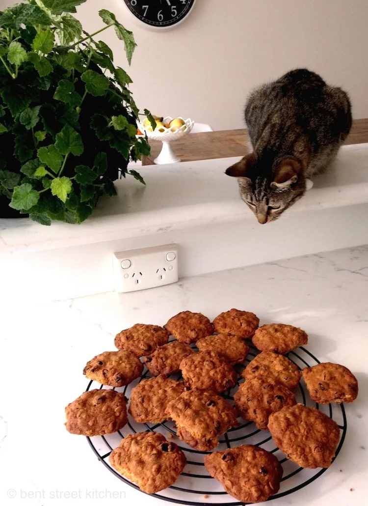  Miso, Bent Street Kitchen's Little Helper.